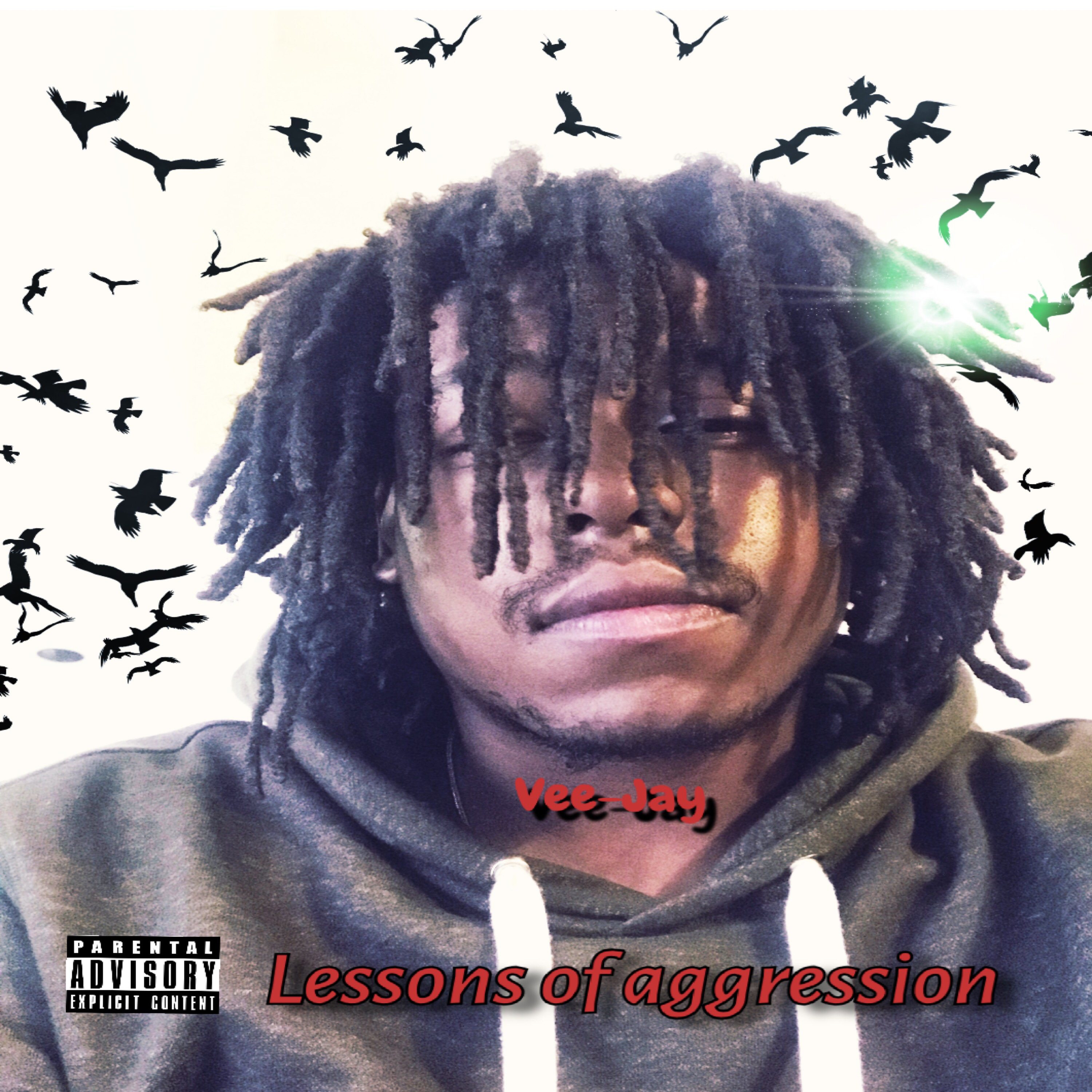 Lesson Of Aggression artwork