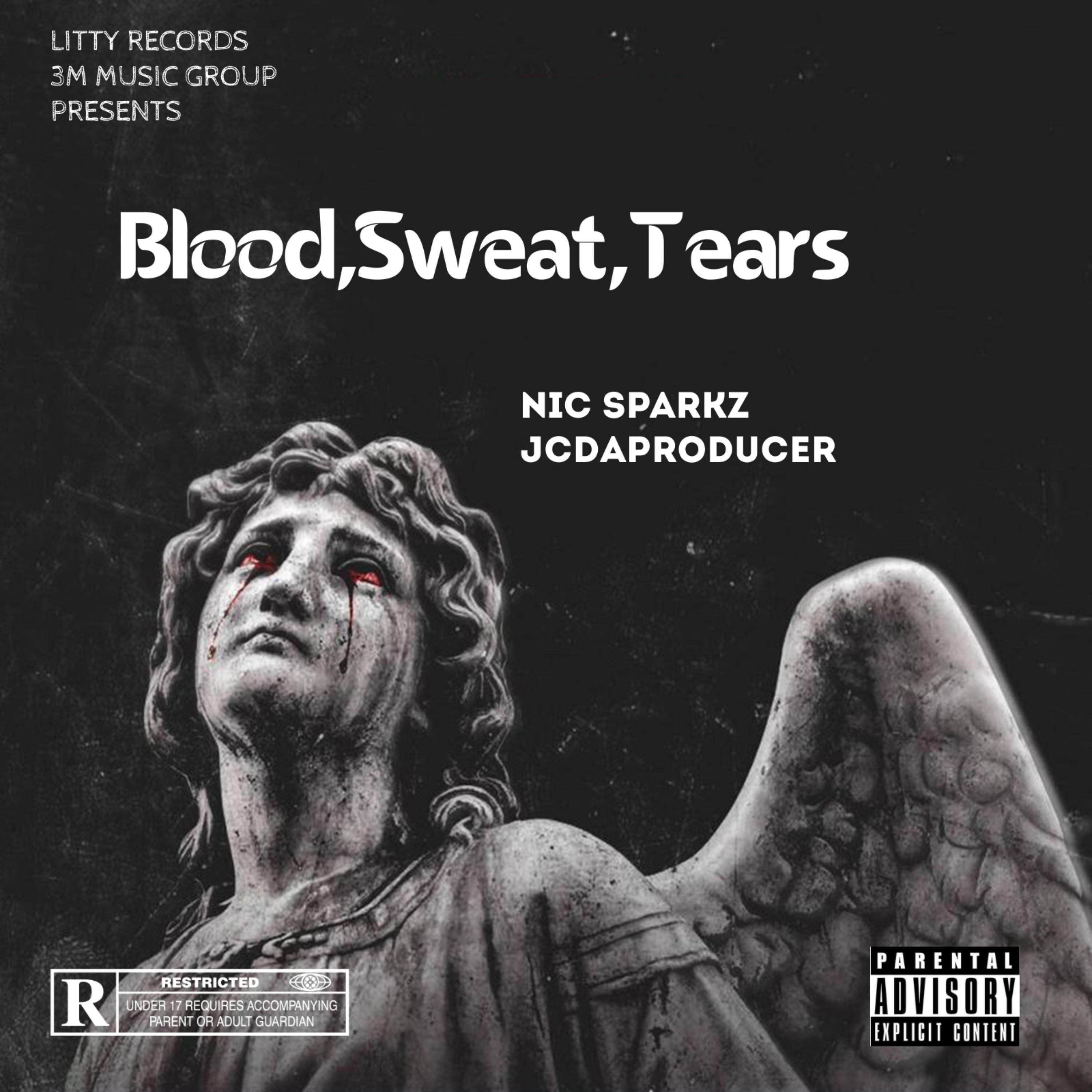 Blood,Sweat&Tears artwork