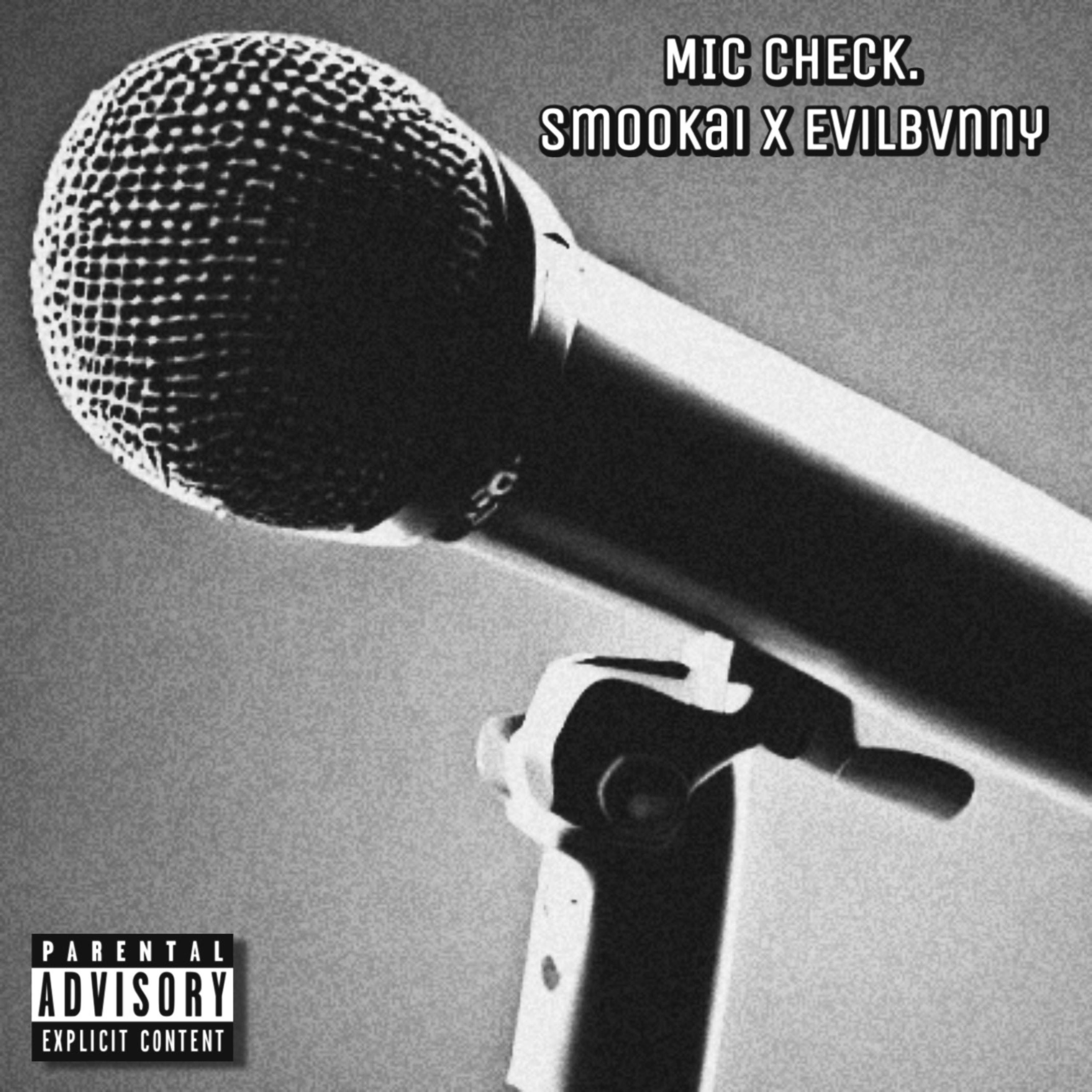 MIC CHECK. artwork