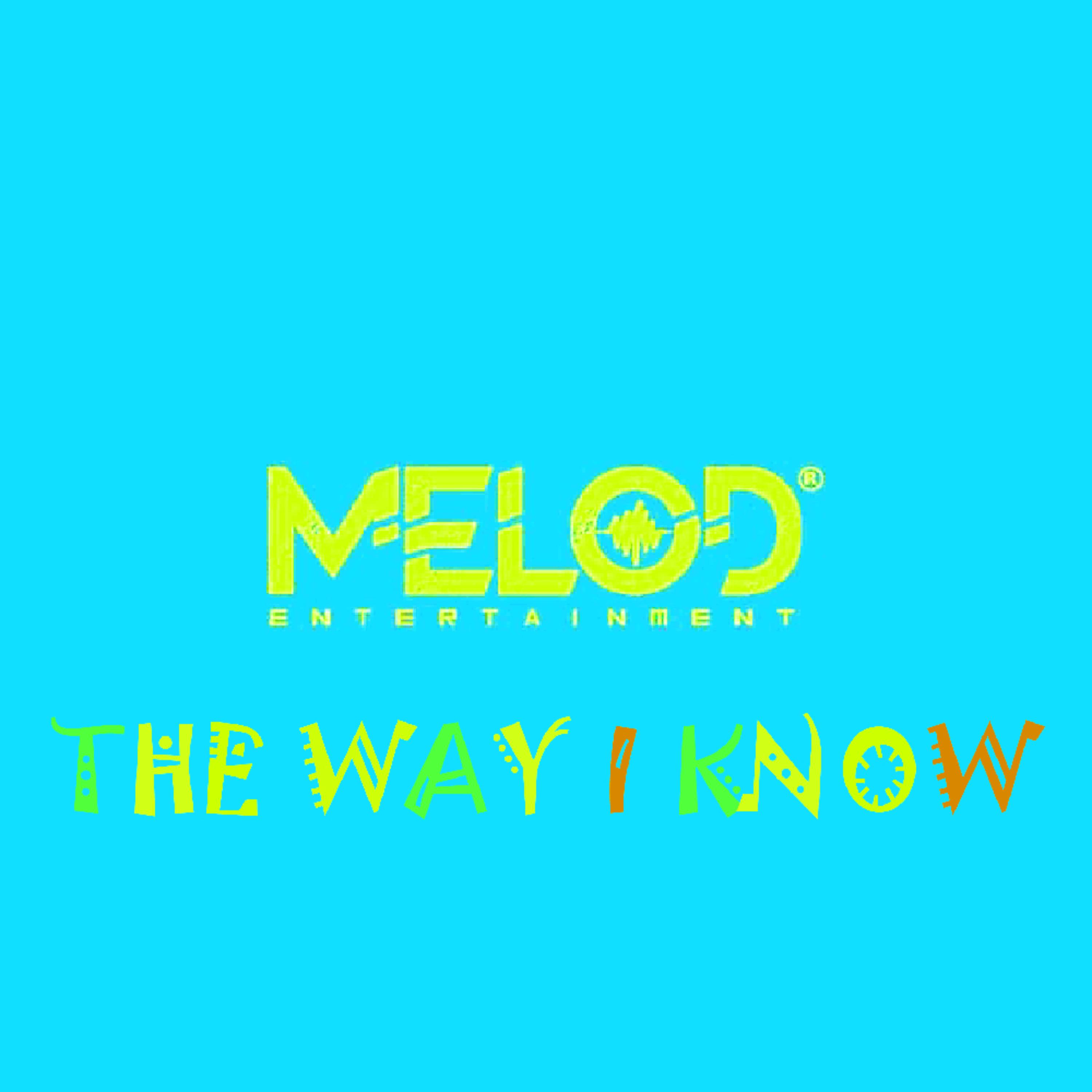The Way I Know by MeloD Entertainment  cover art