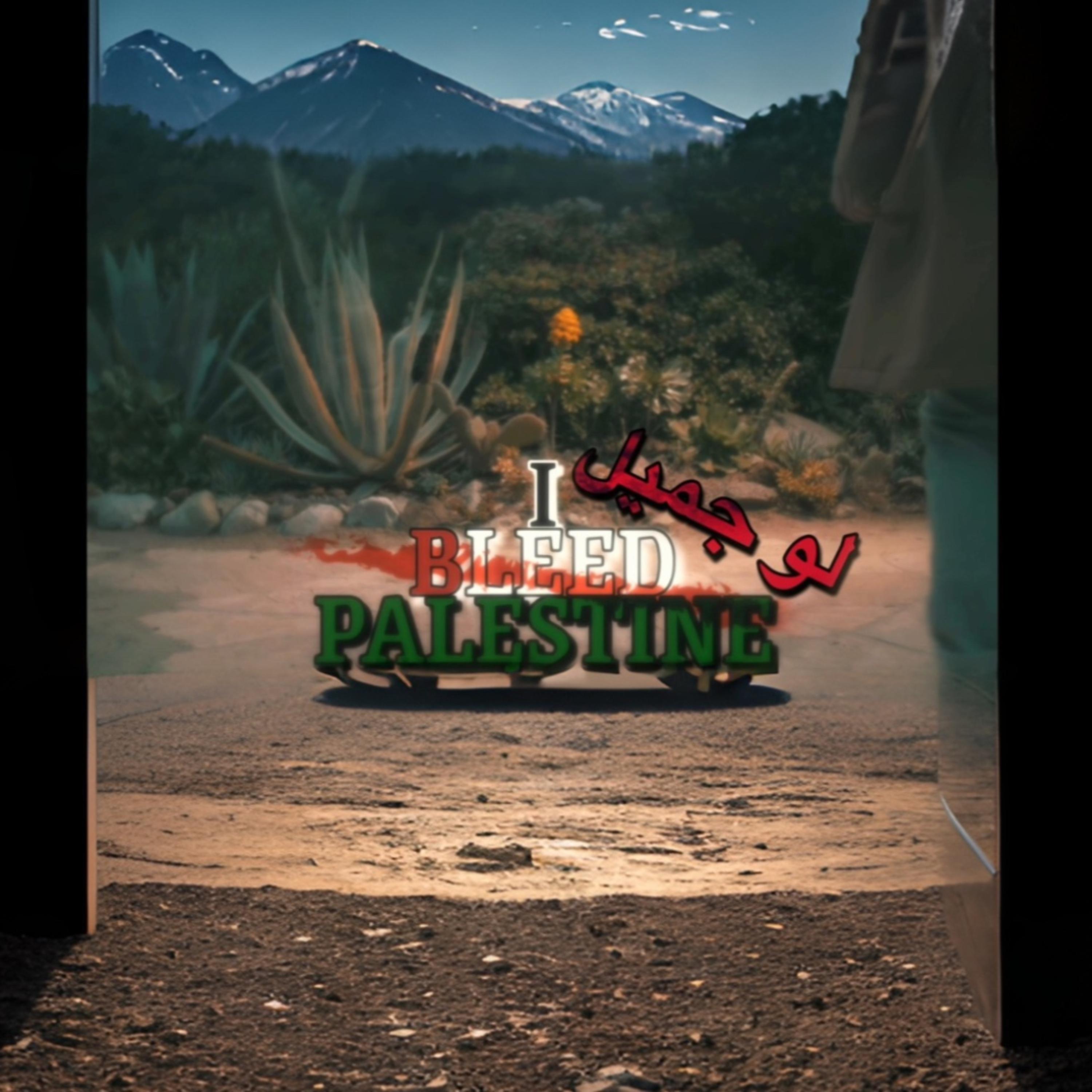 i Bleed Palestine artwork