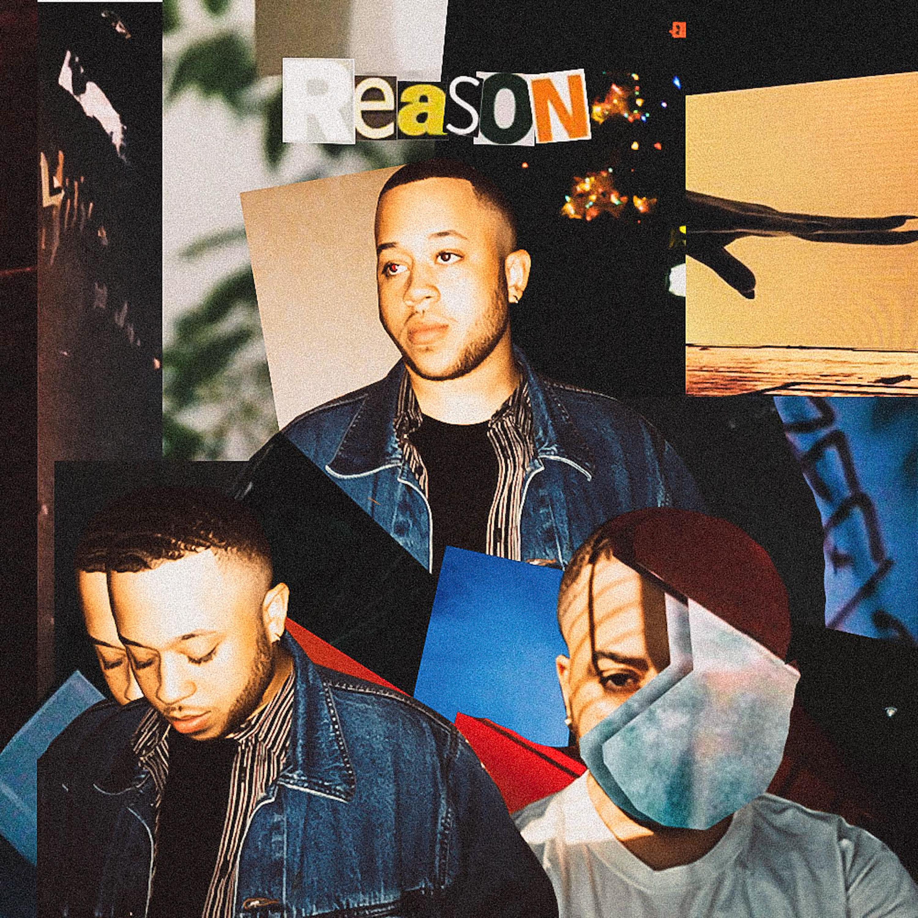 REASON artwork