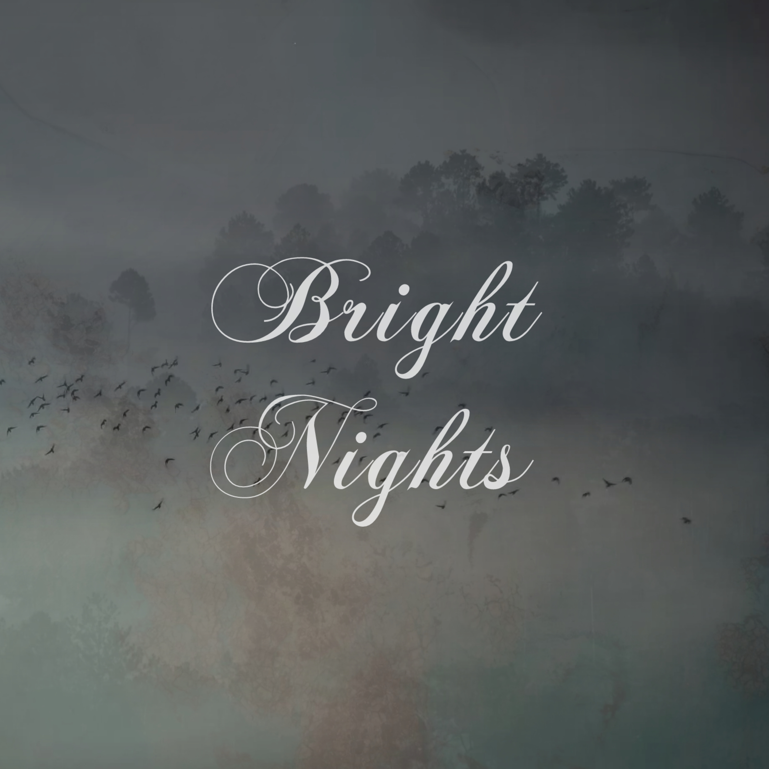 Bright Nights artwork