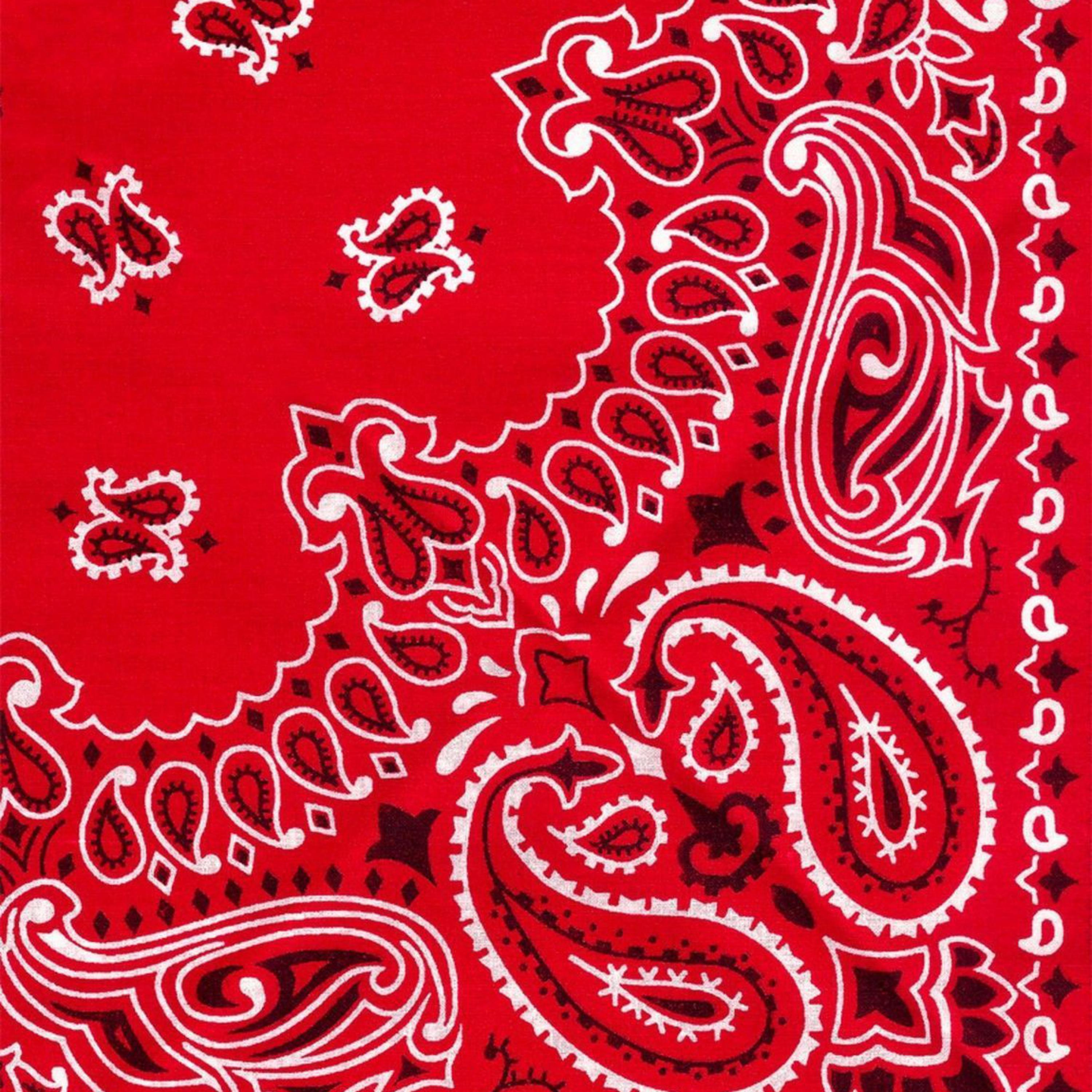 Heart Of A Lion artwork