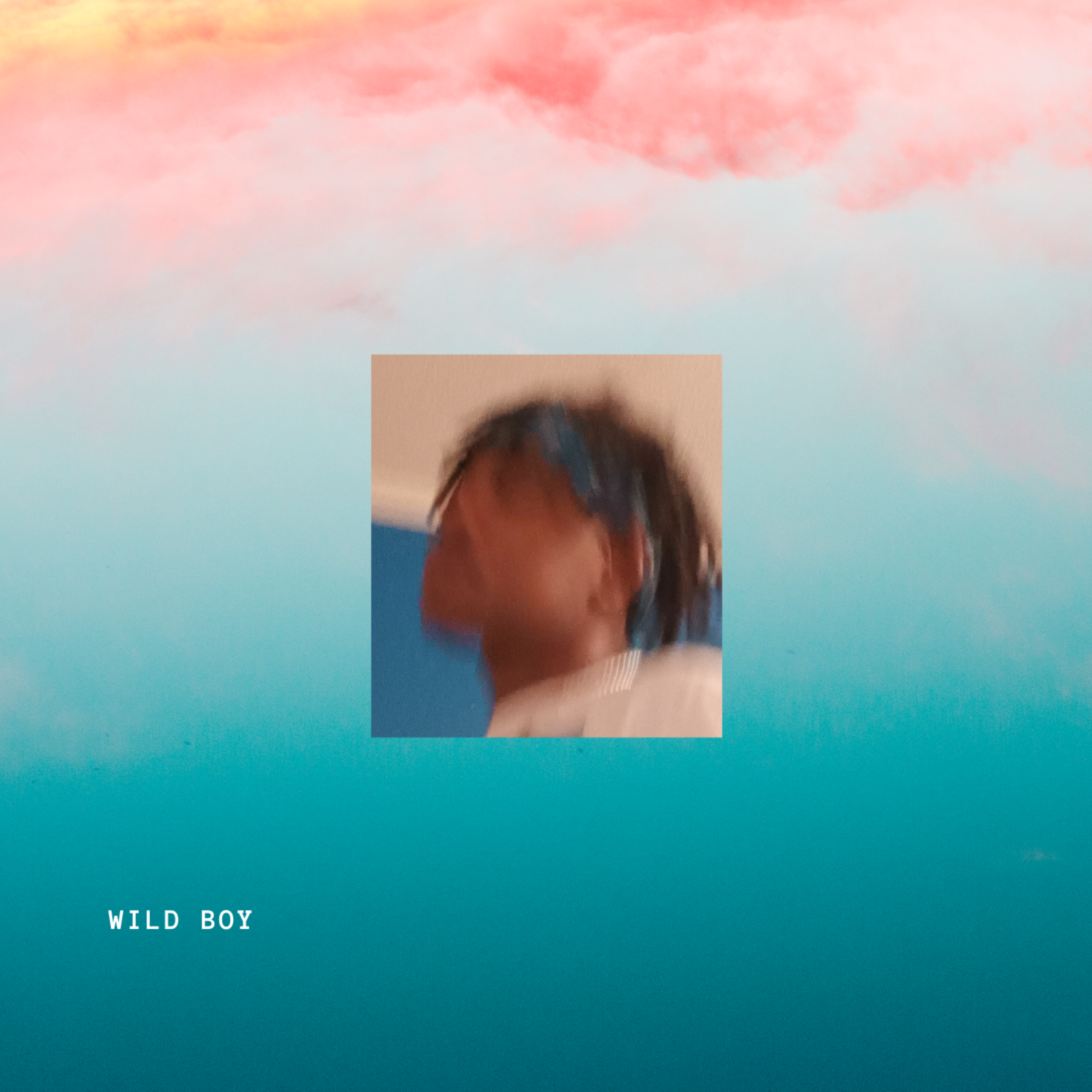 WILD BOY artwork