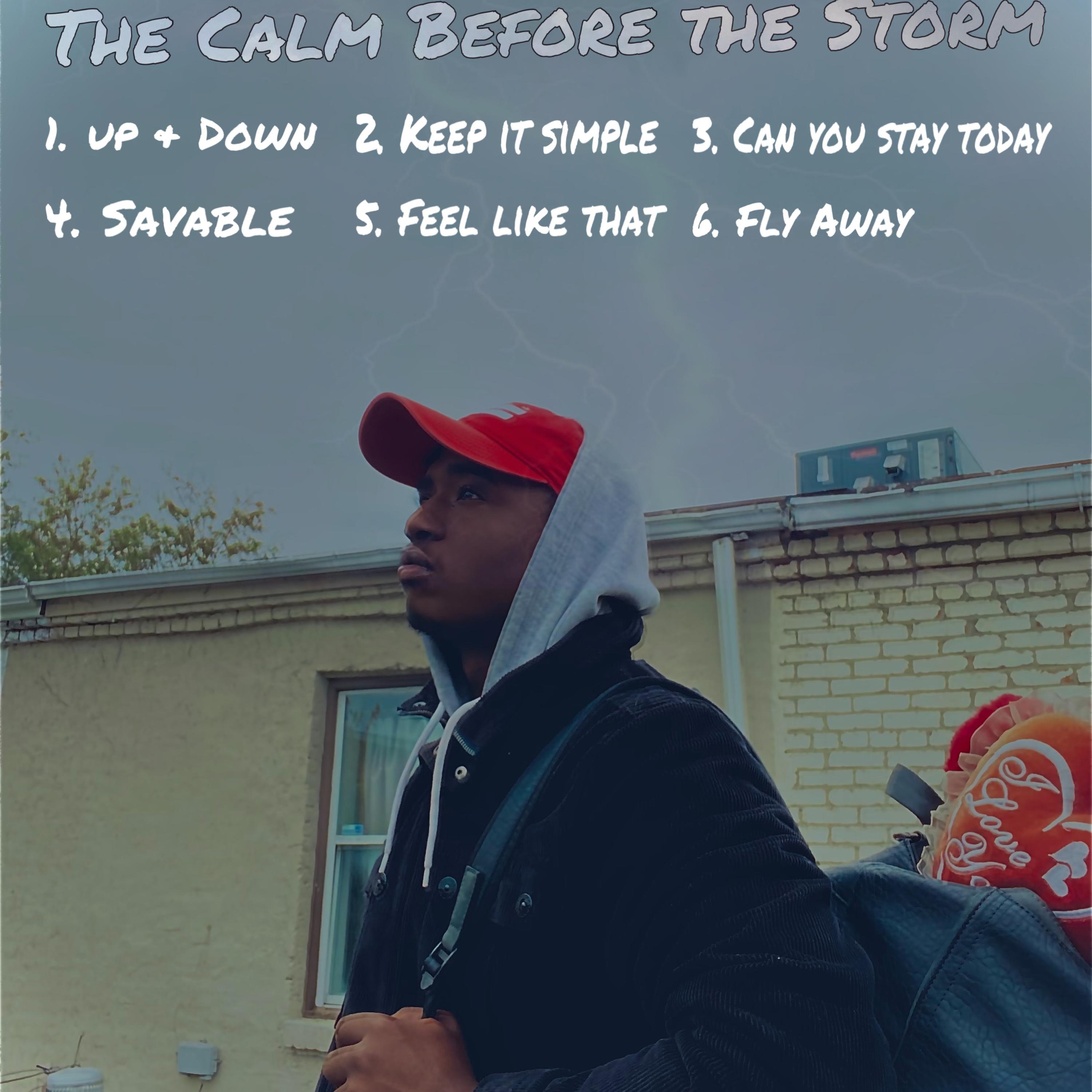 The Calm Before The Storm by Neily cover art