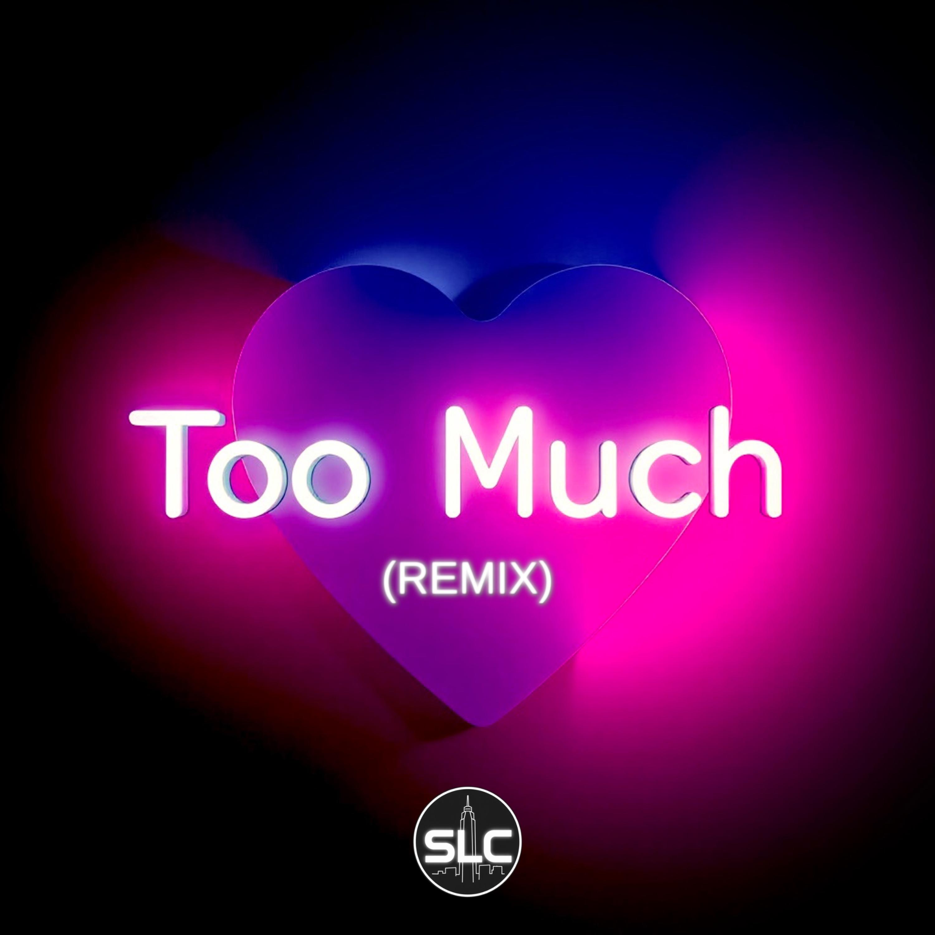 Too Much (Remix) artwork