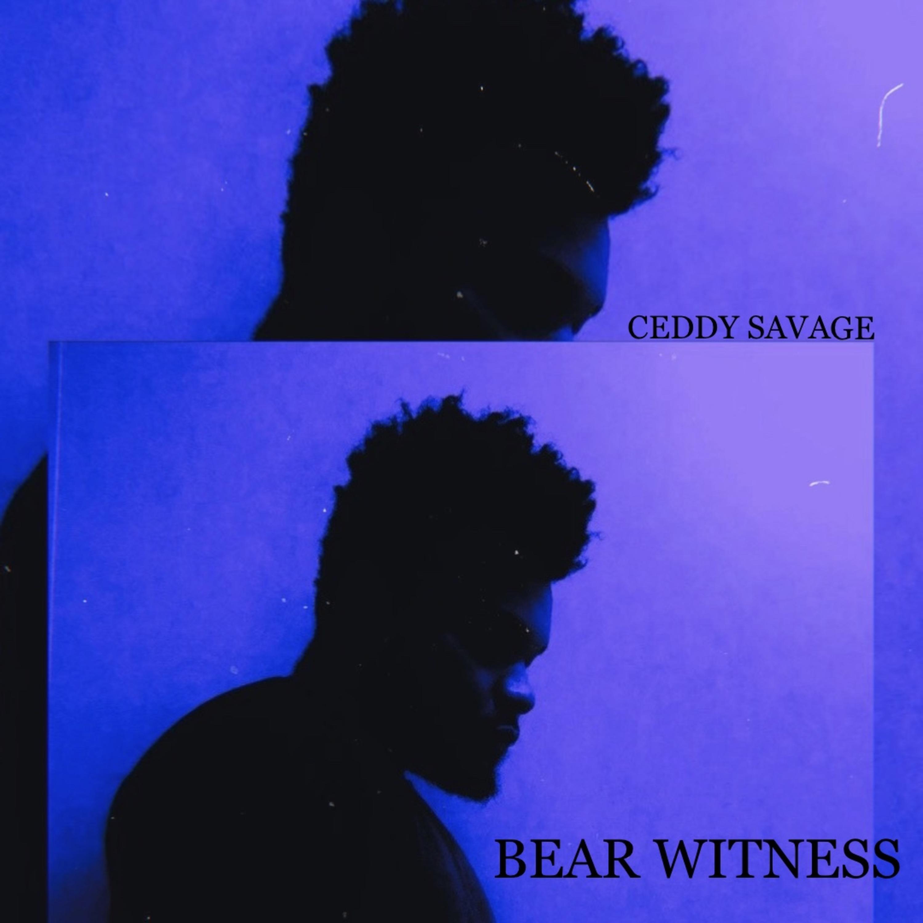 BEAR WITNESS artwork