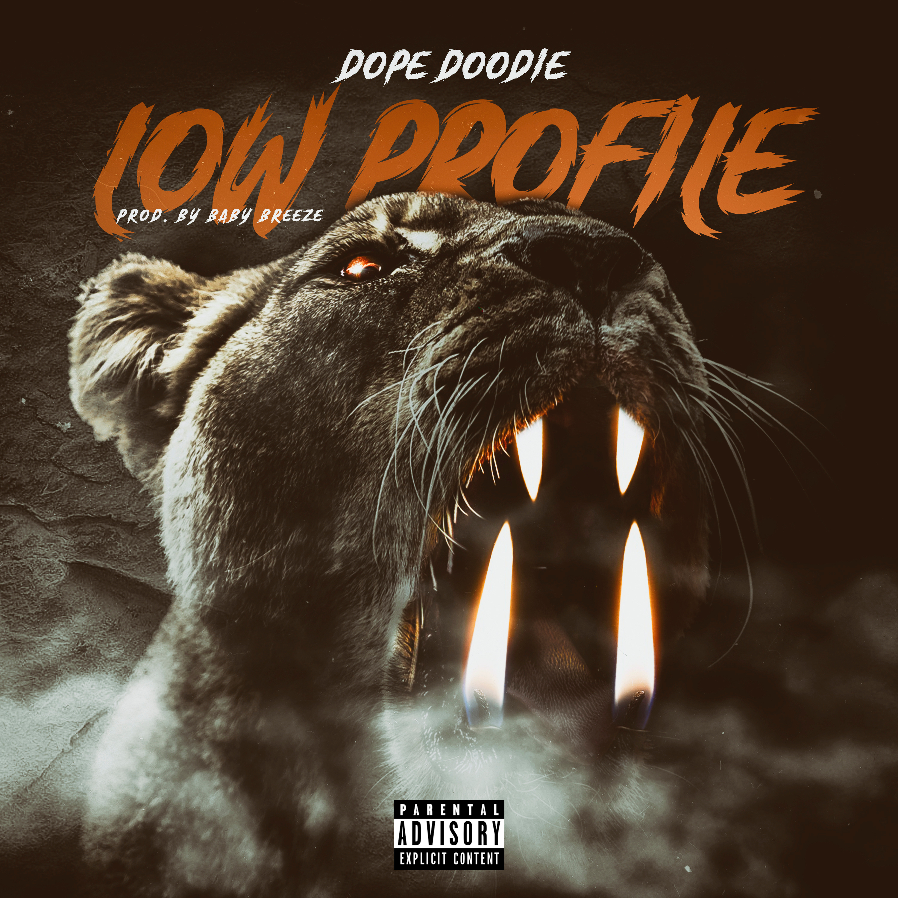 Low Profile artwork