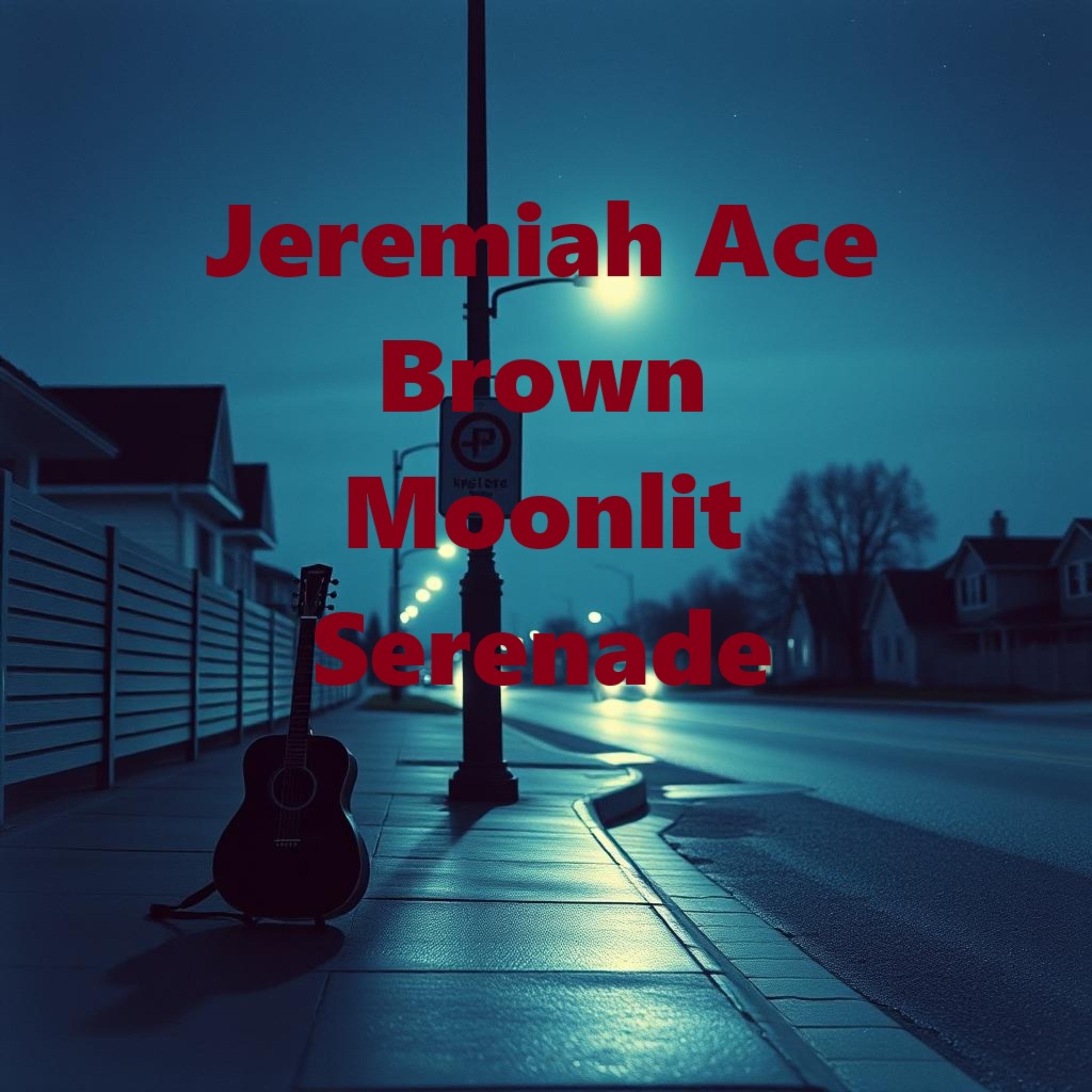 Moonlit Serenade artwork