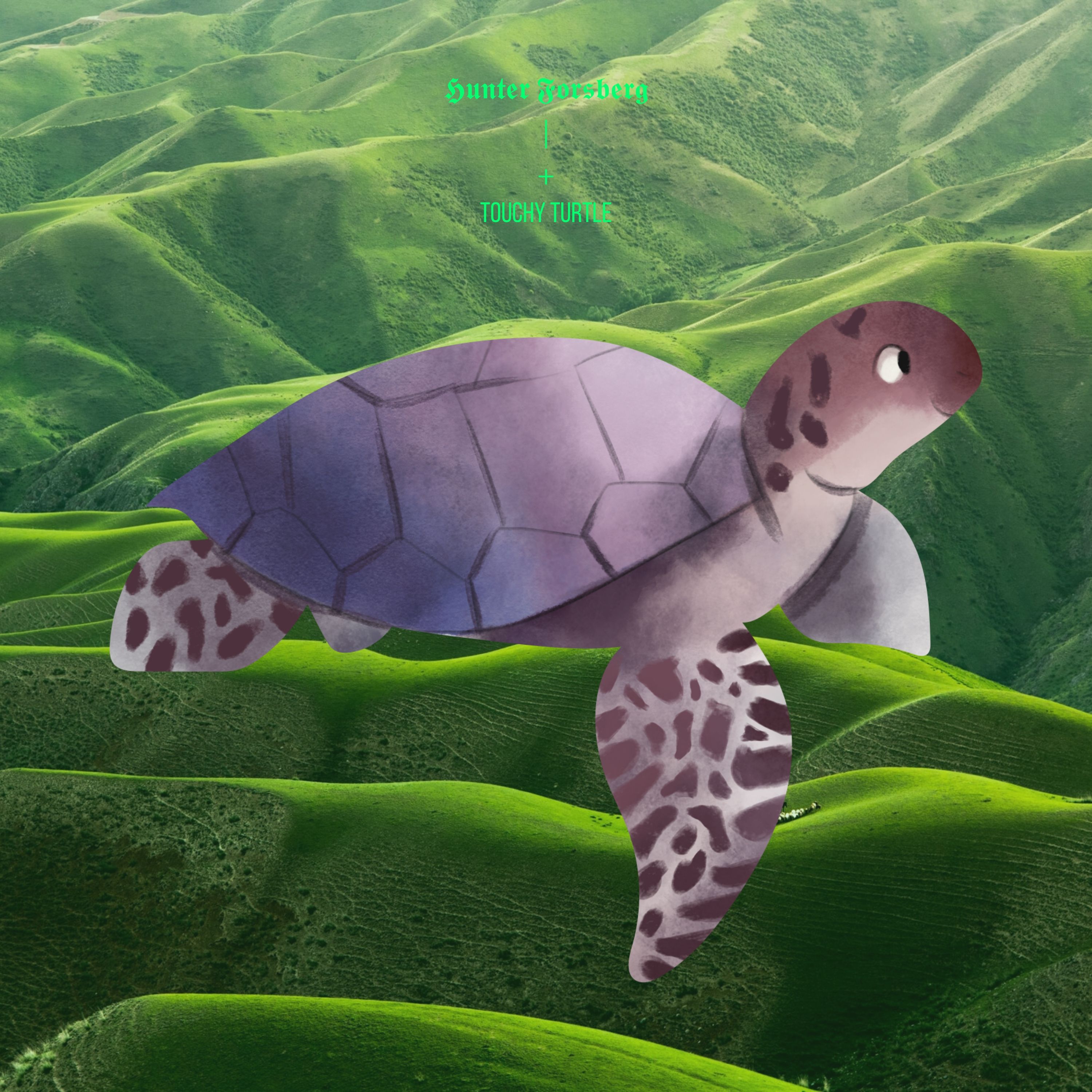 Touchy Turtle artwork