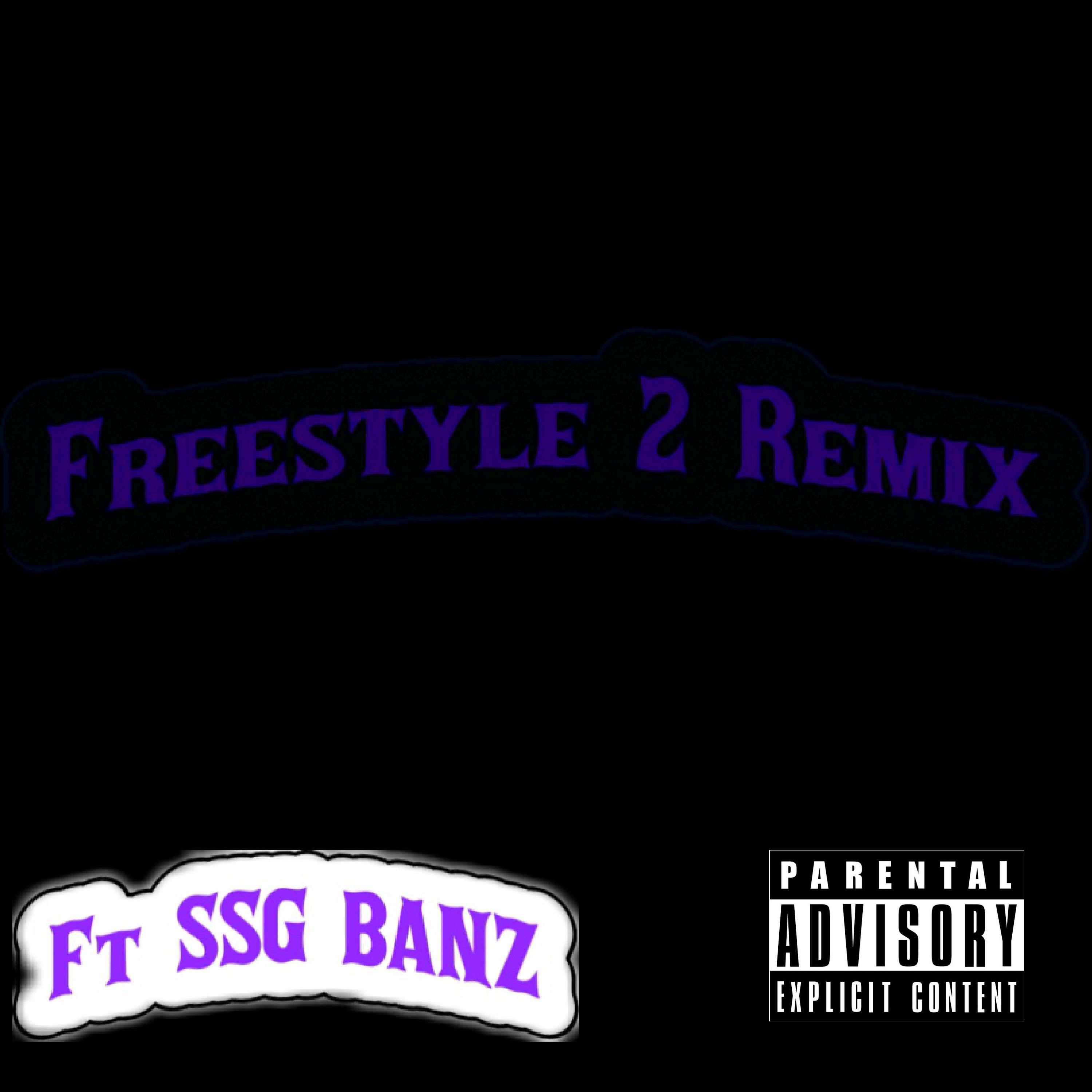Freestyle 2 SSG MIX artwork