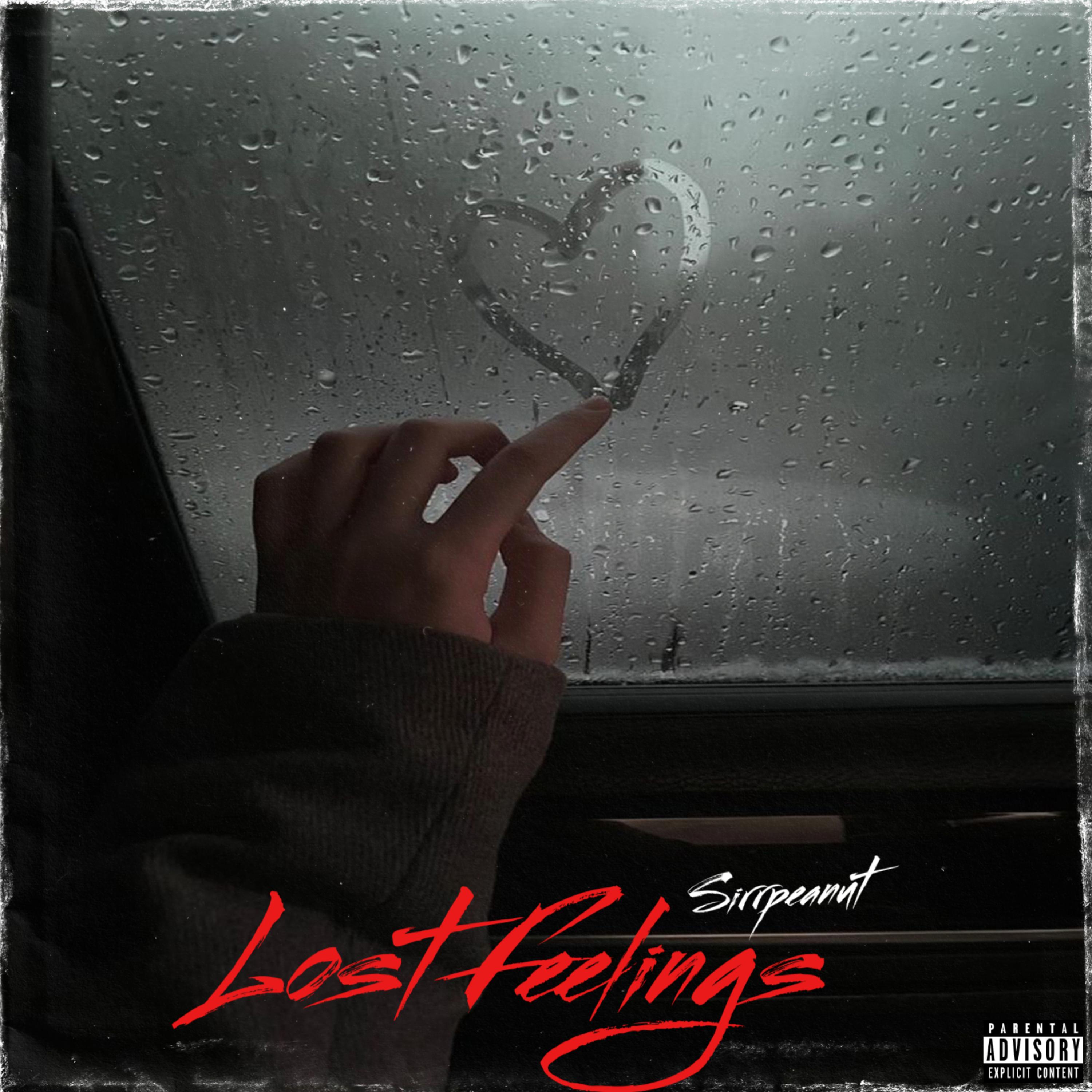 Lost Feelings artwork