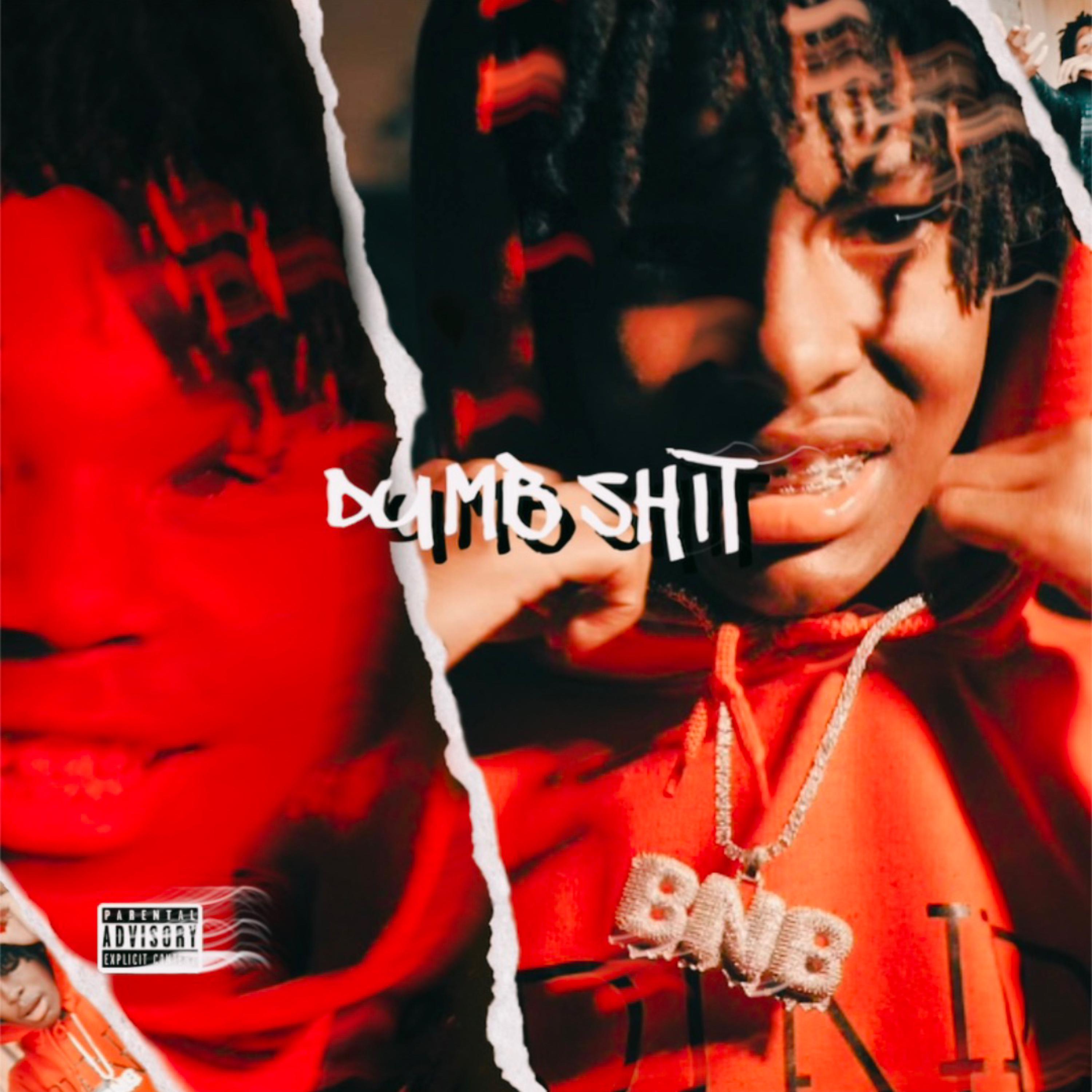 DUMB SHIT by BNB BBYAPE cover art