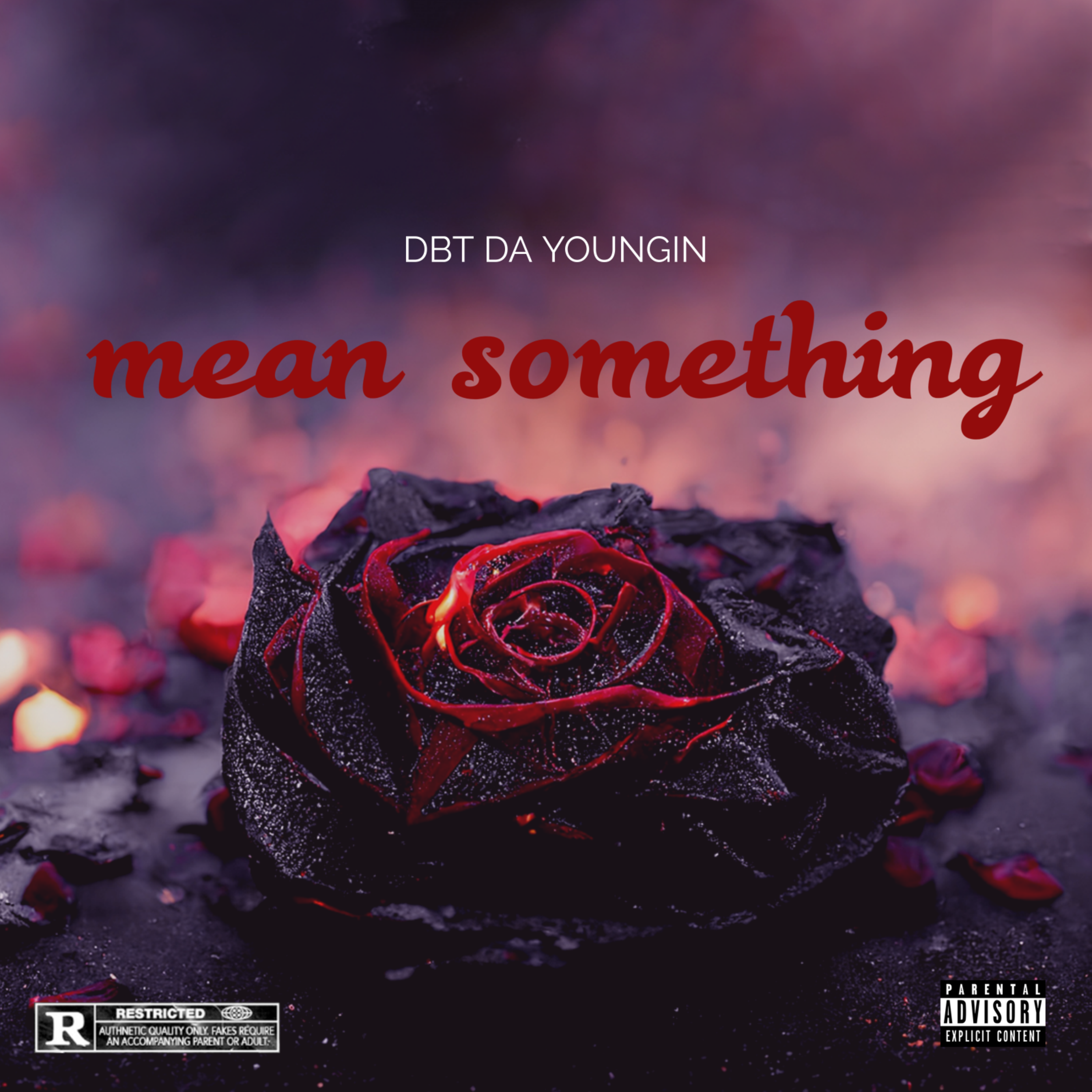 Mean Something by D2Exotik cover art