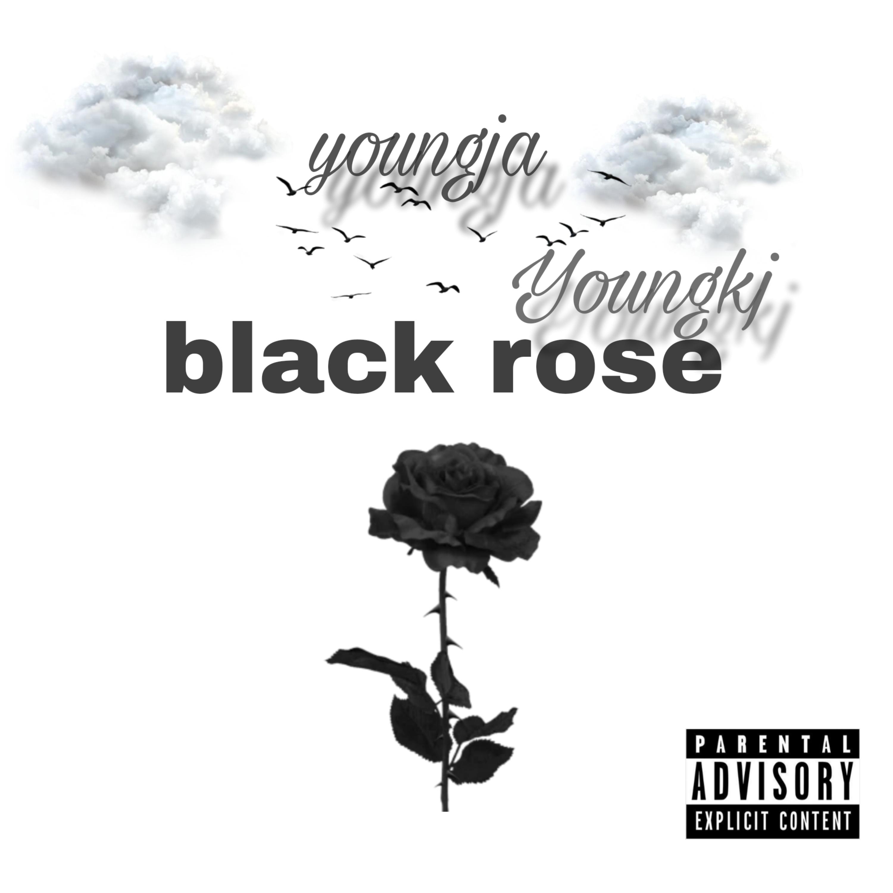 black rose artwork