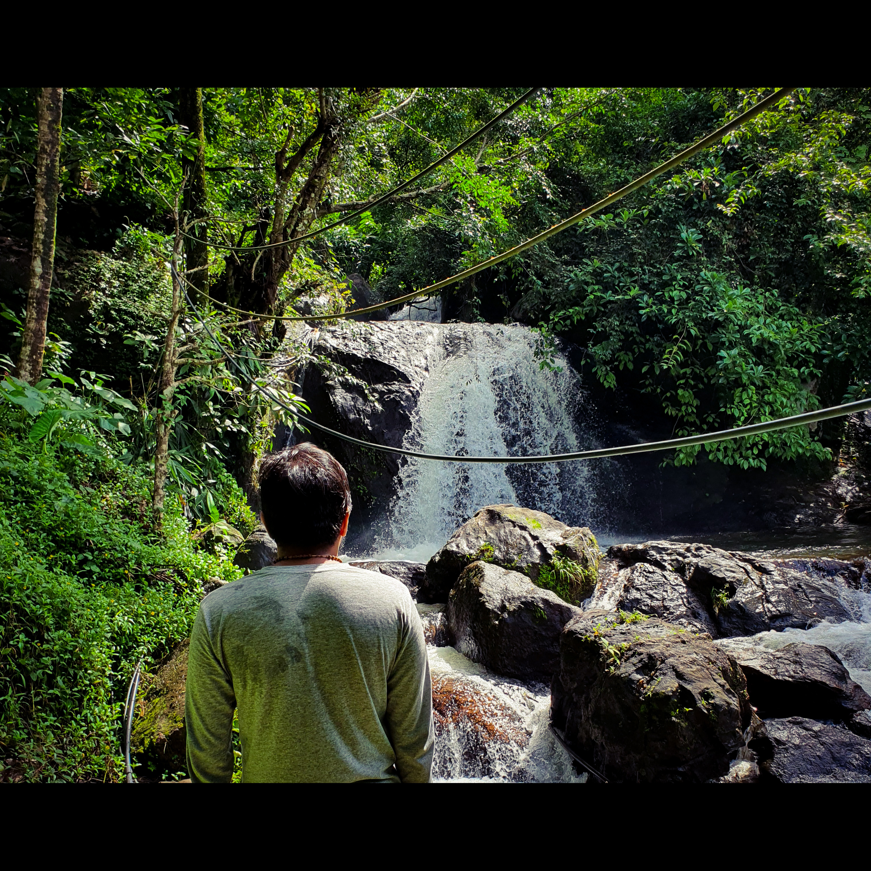 Gone with the Rain artwork