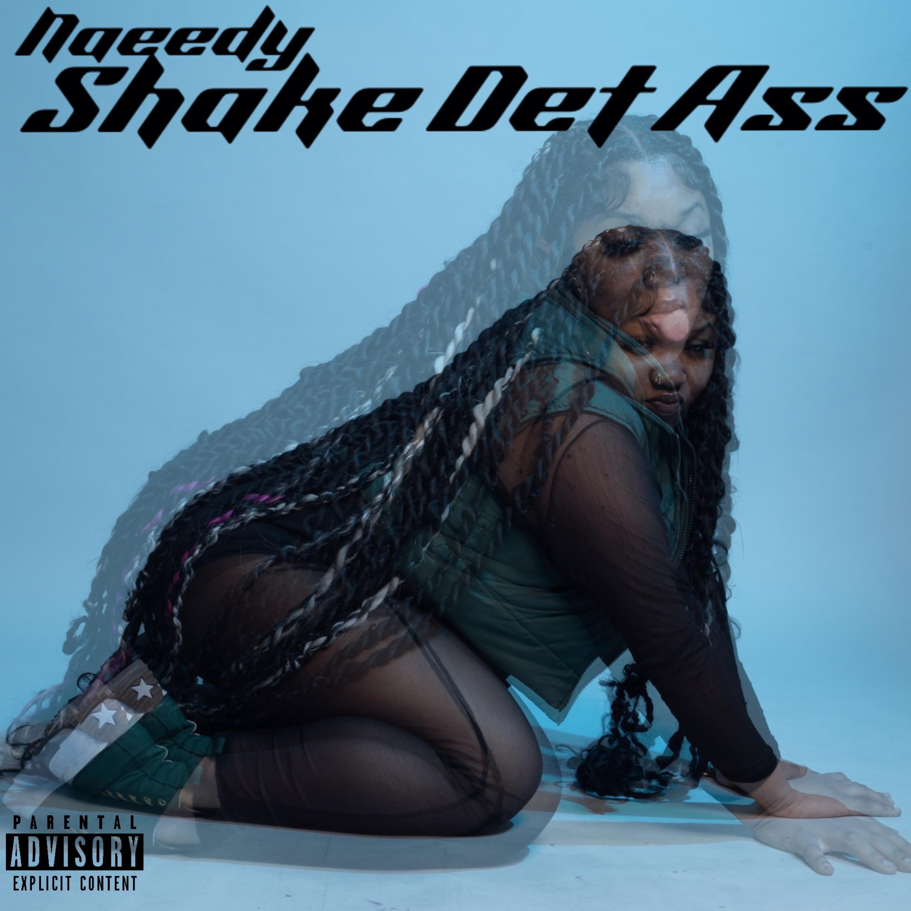 Shake Det Ass artwork