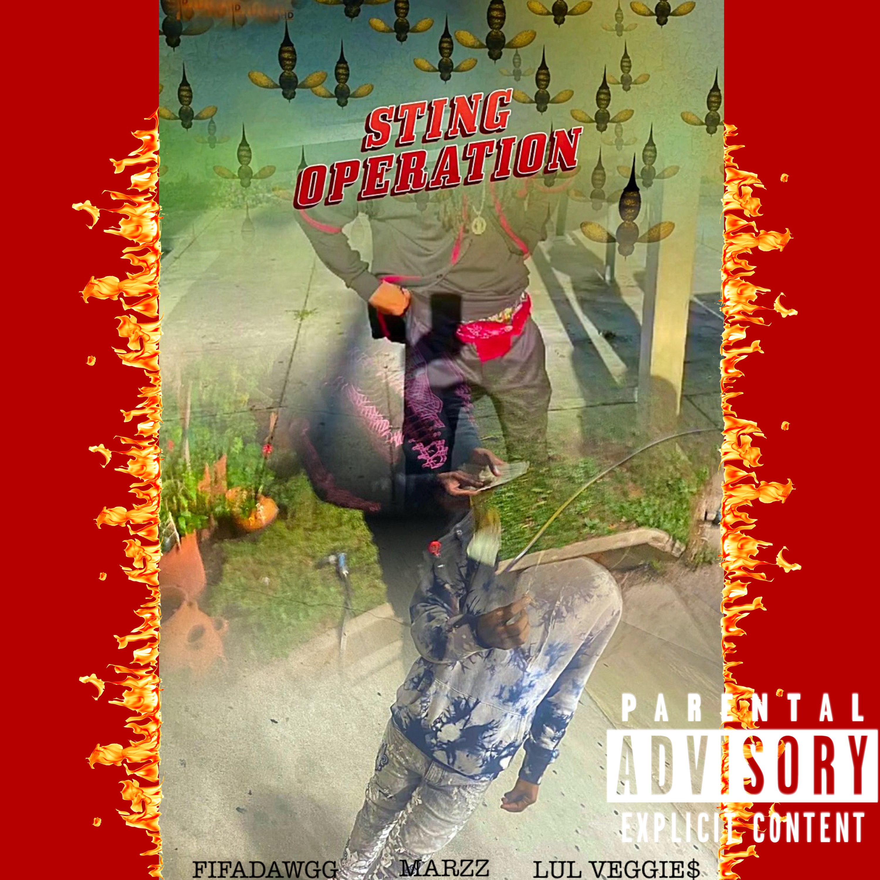 STING OPERATION artwork