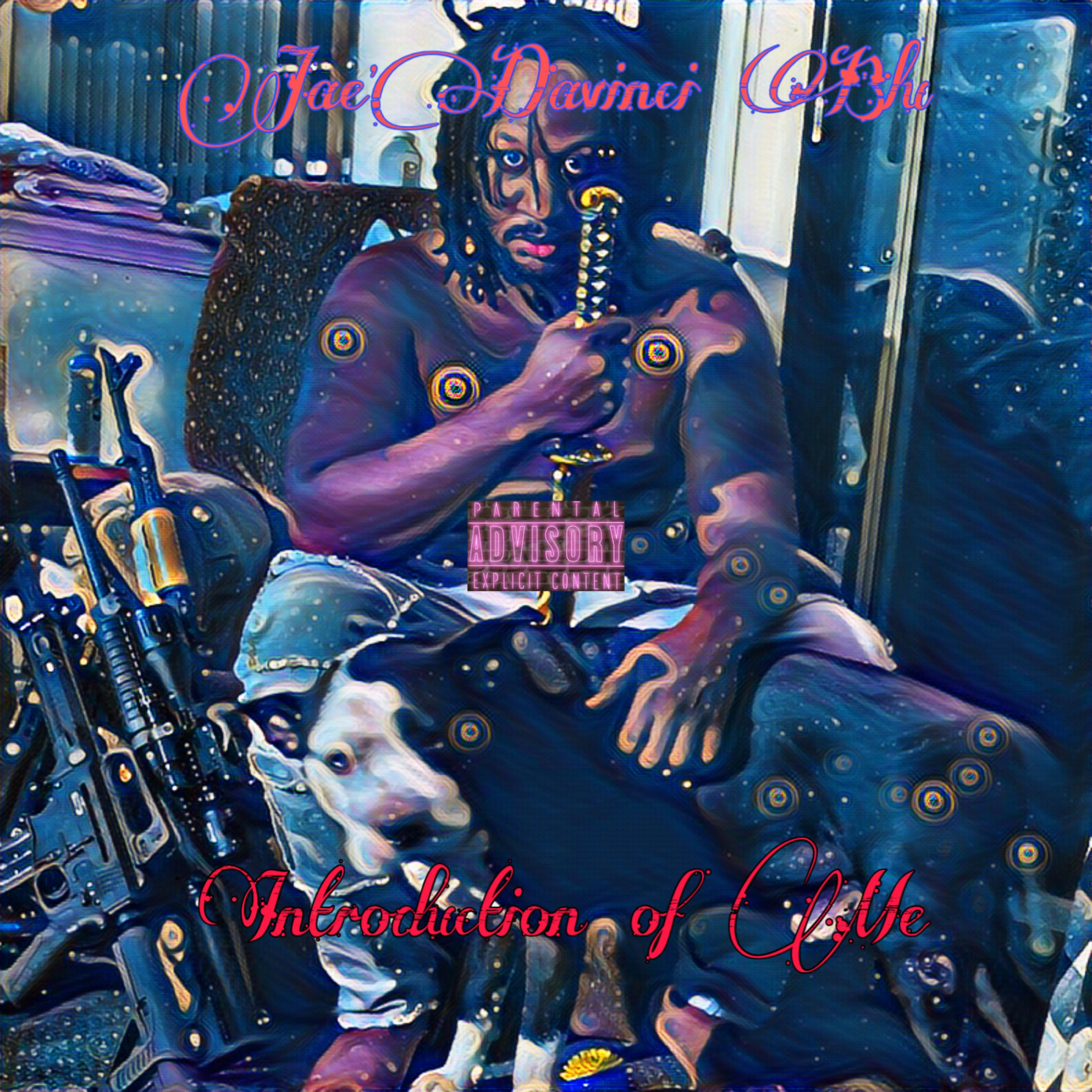 Introduction Of Me artwork