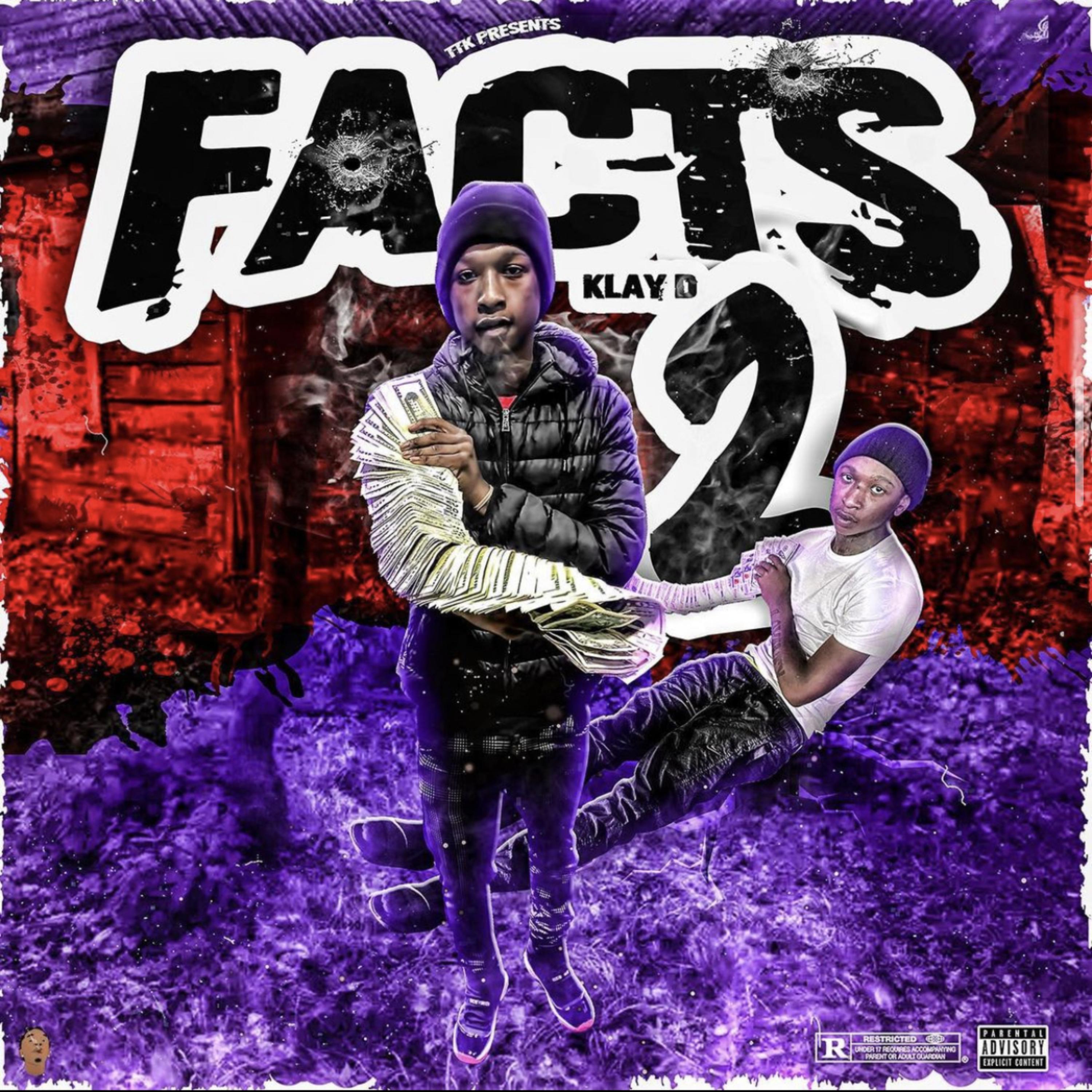 Facts Pt 2 artwork