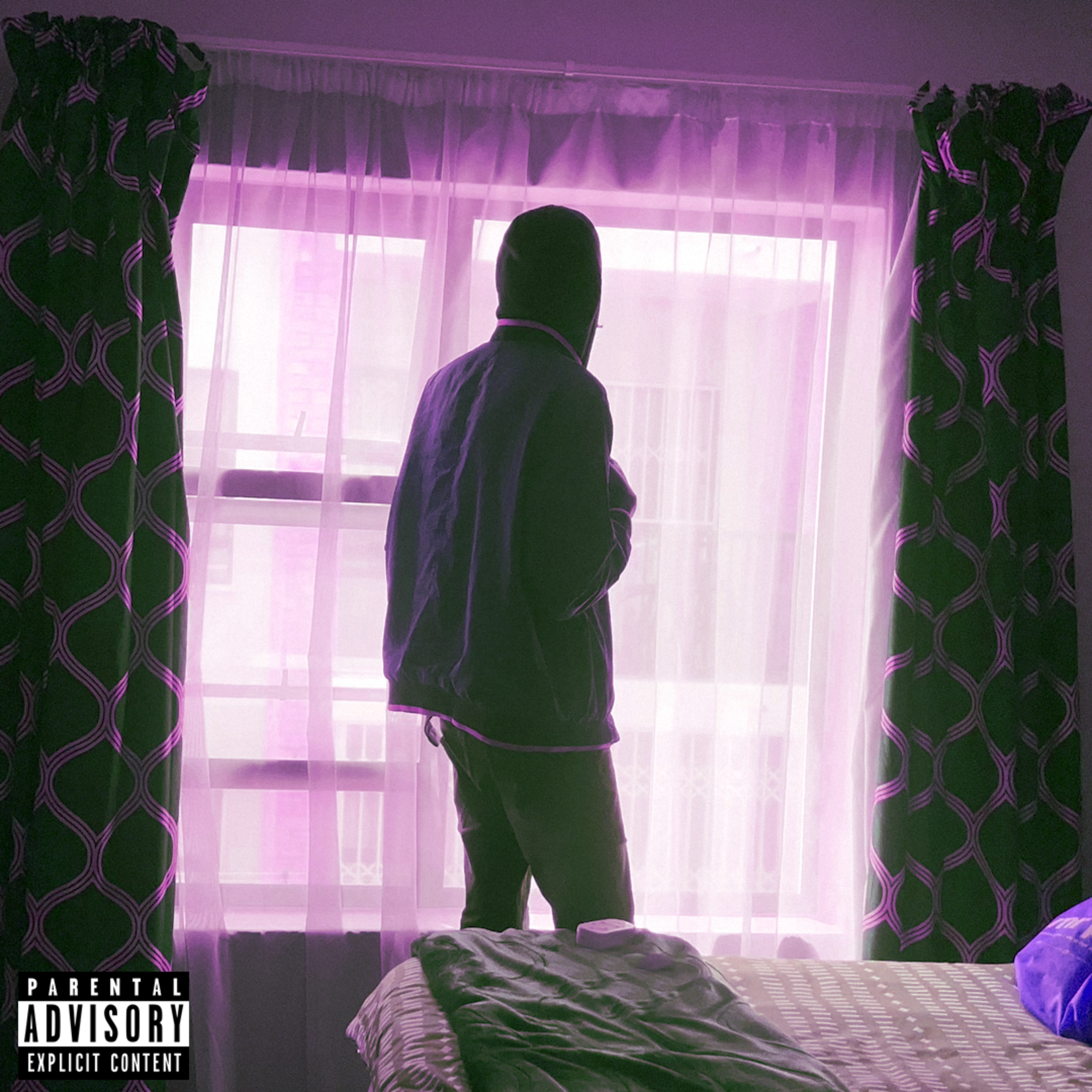Vida Dum Rockstar artwork
