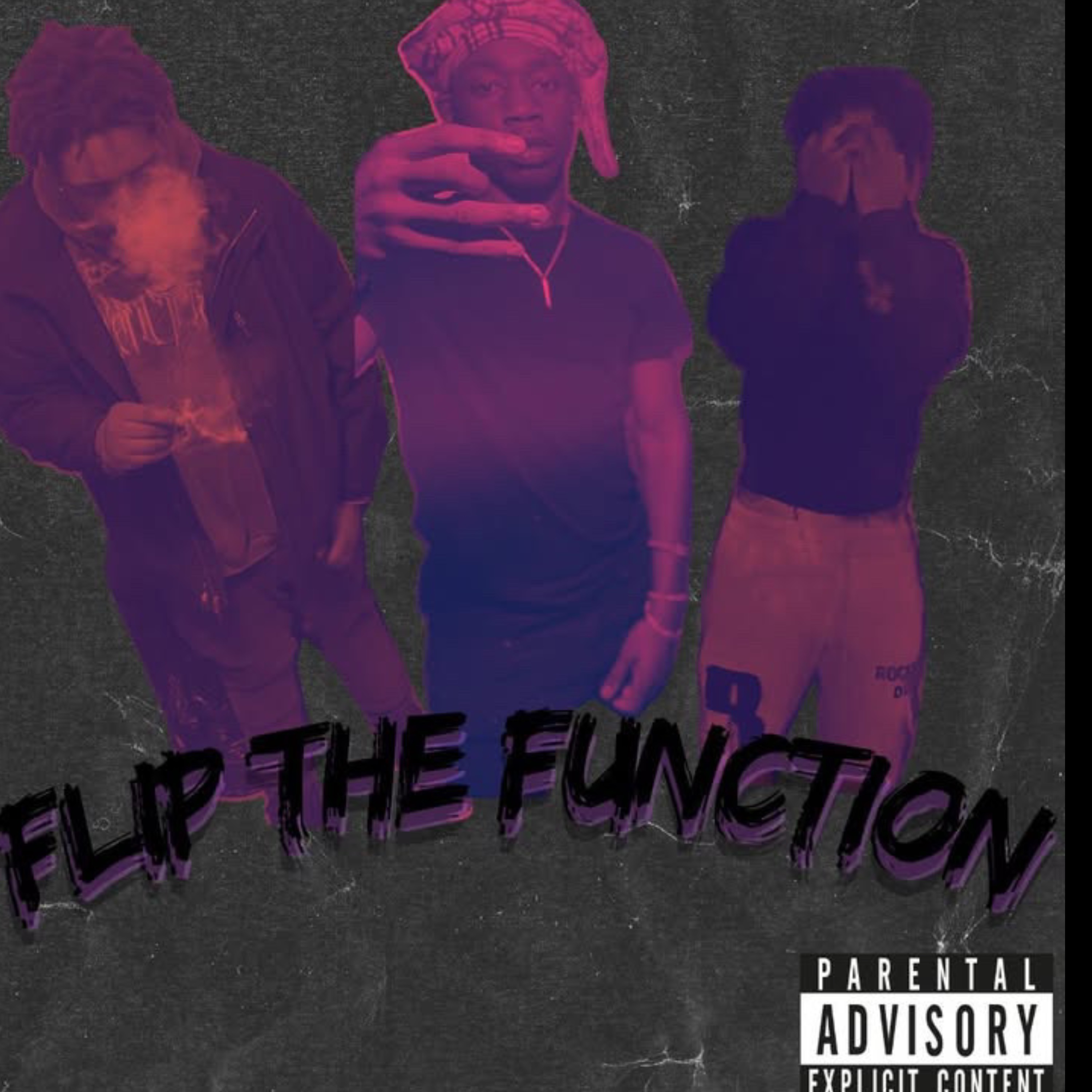Flip The Function artwork