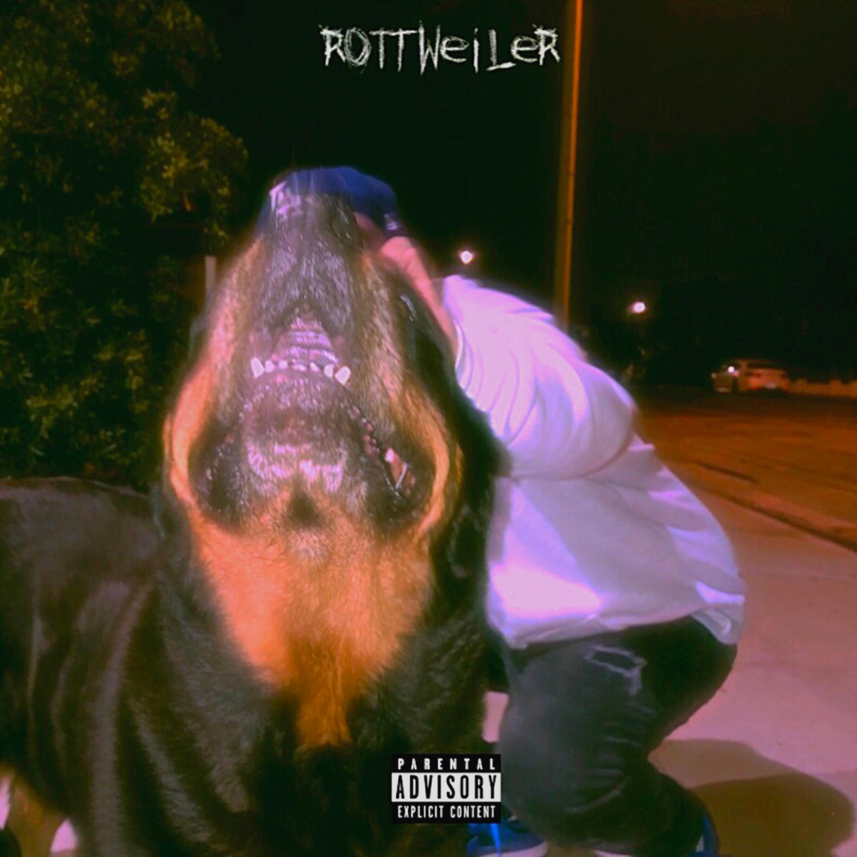 ROTTWEILER artwork