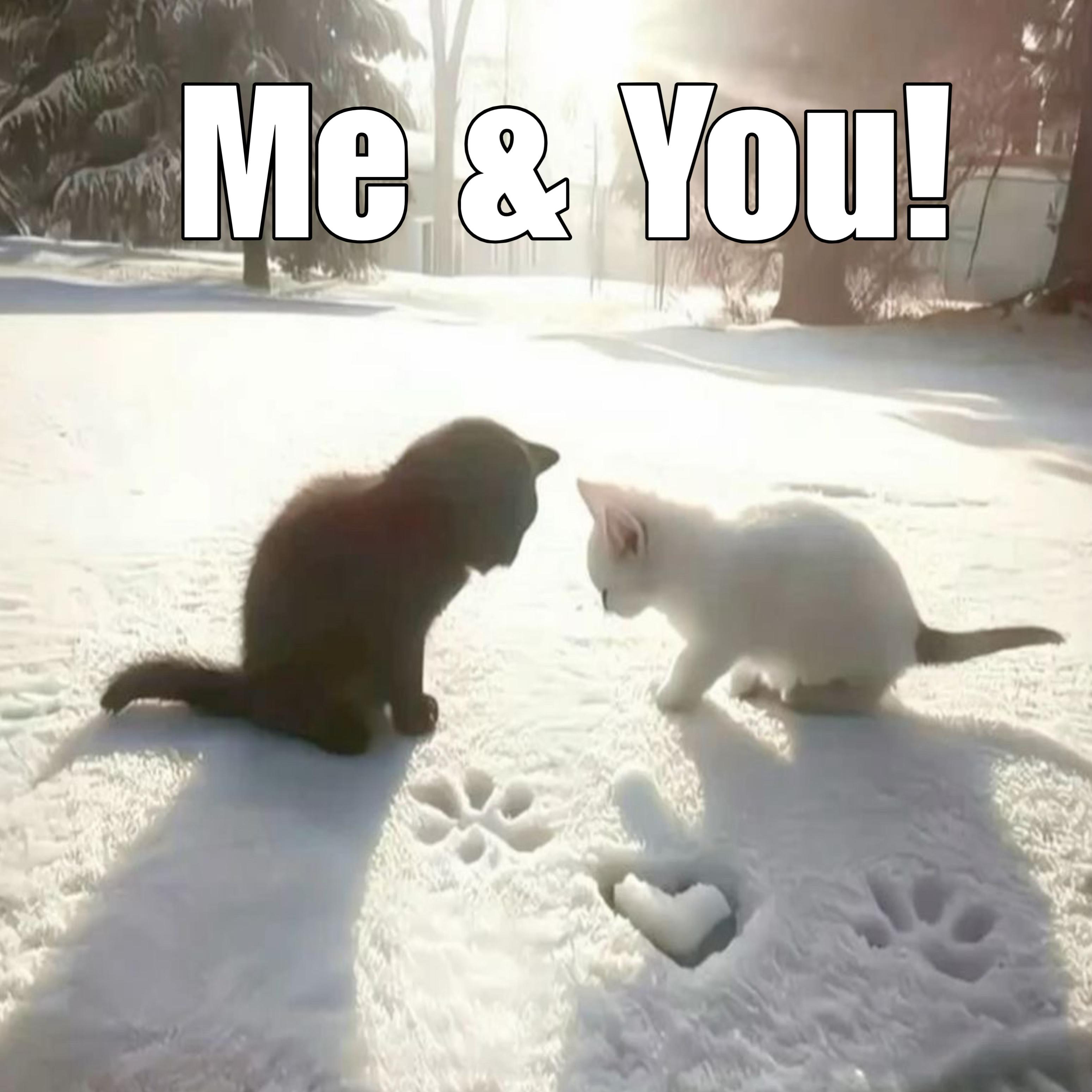 Me & You! artwork