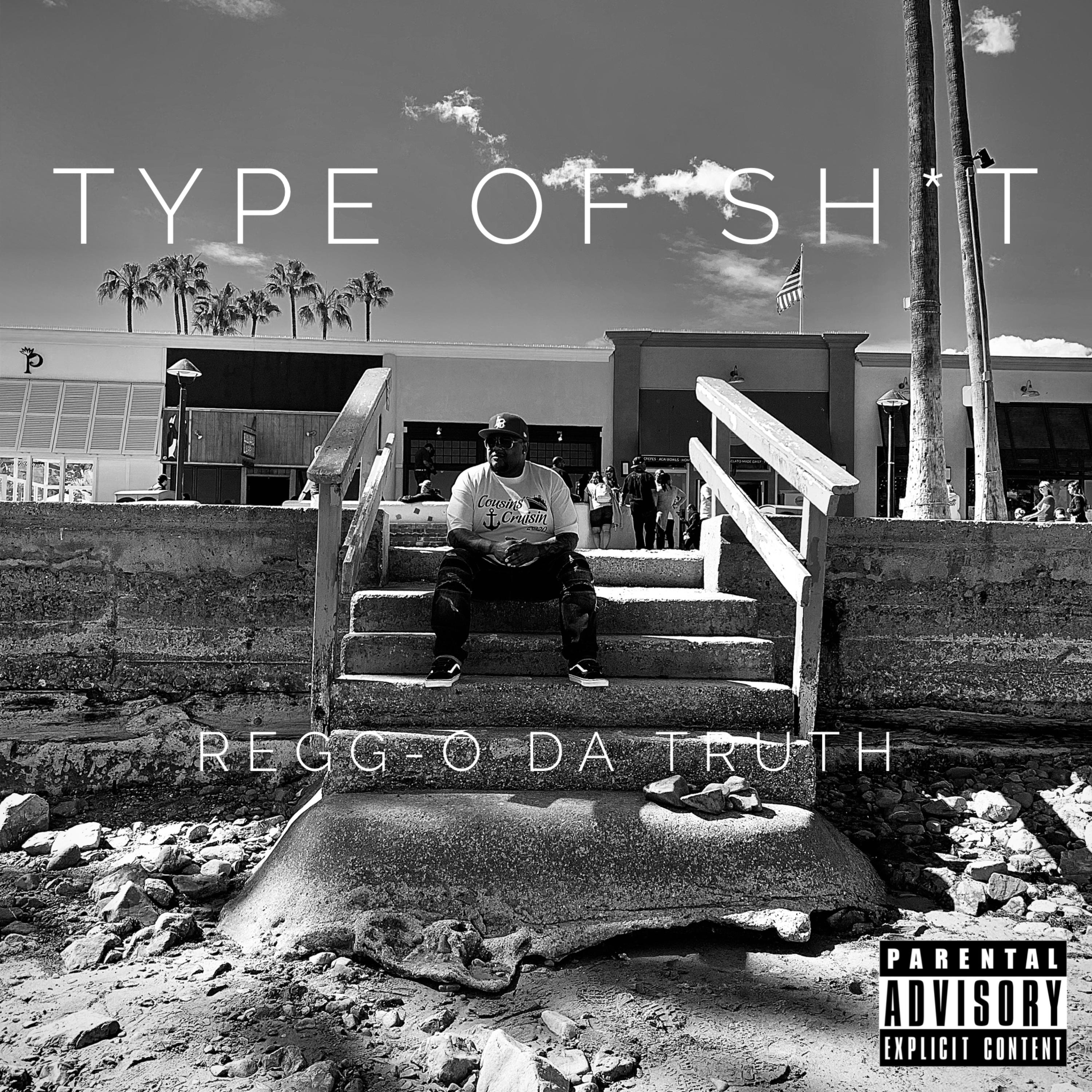 Type Of Shit artwork