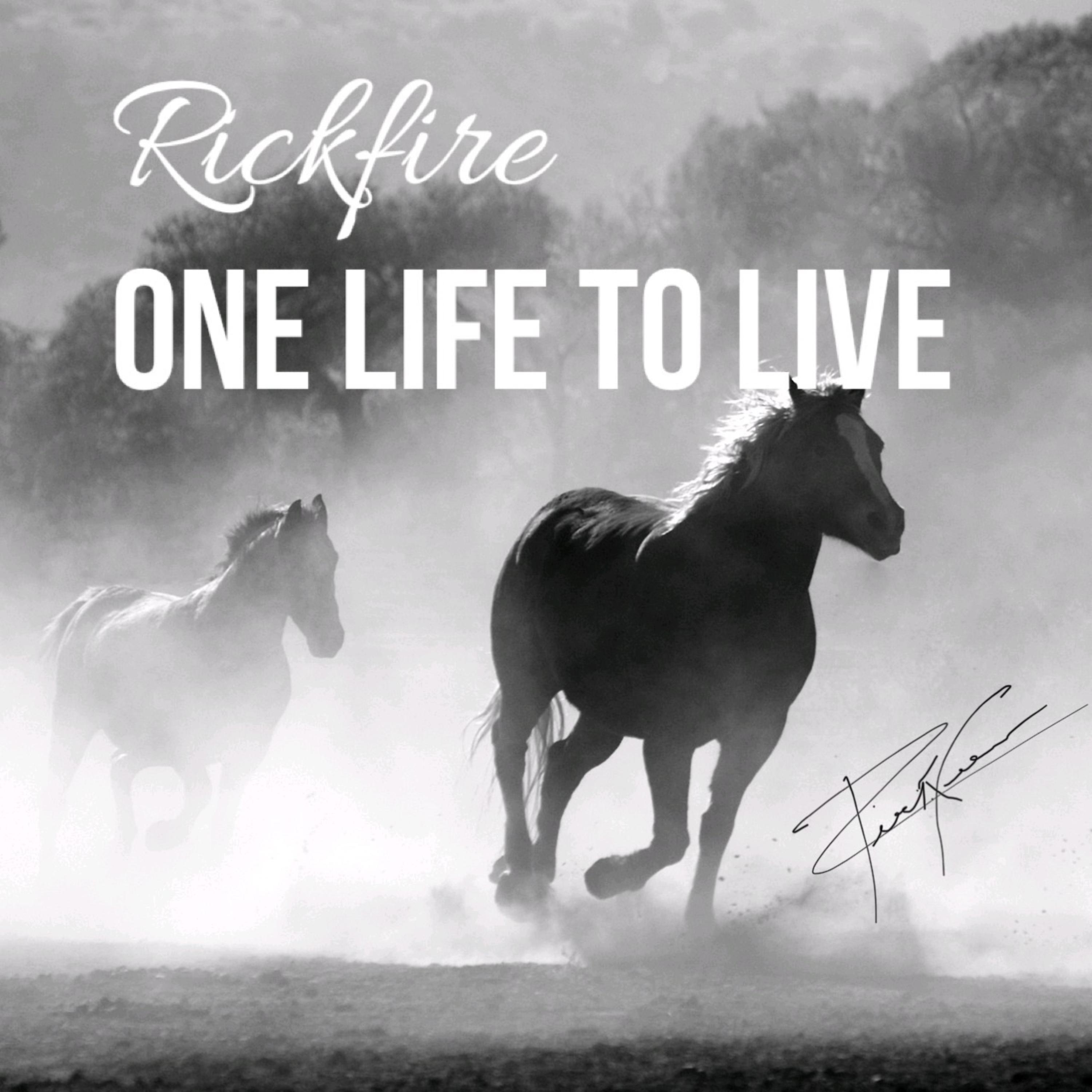 One LifeTo Live artwork