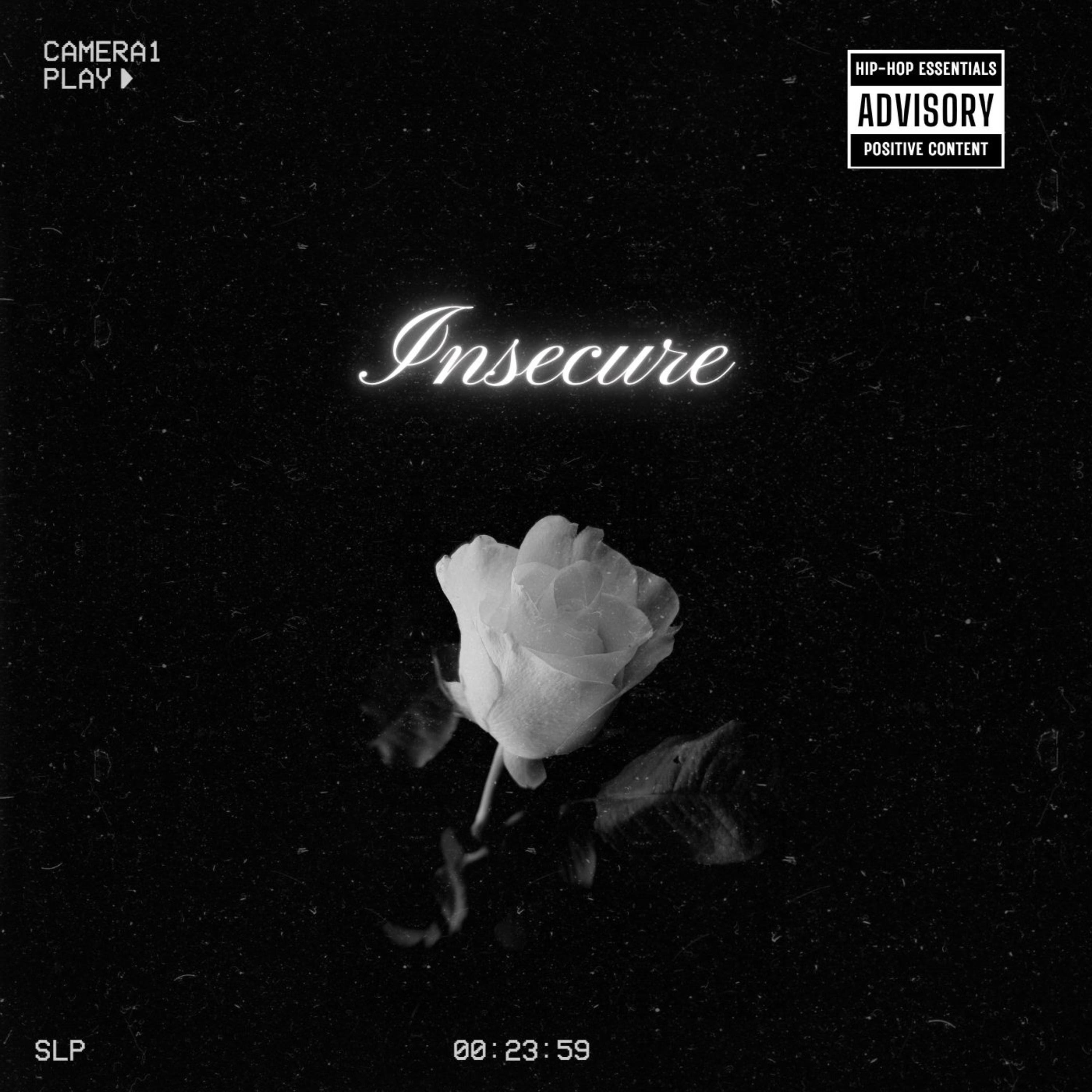 Insecure artwork