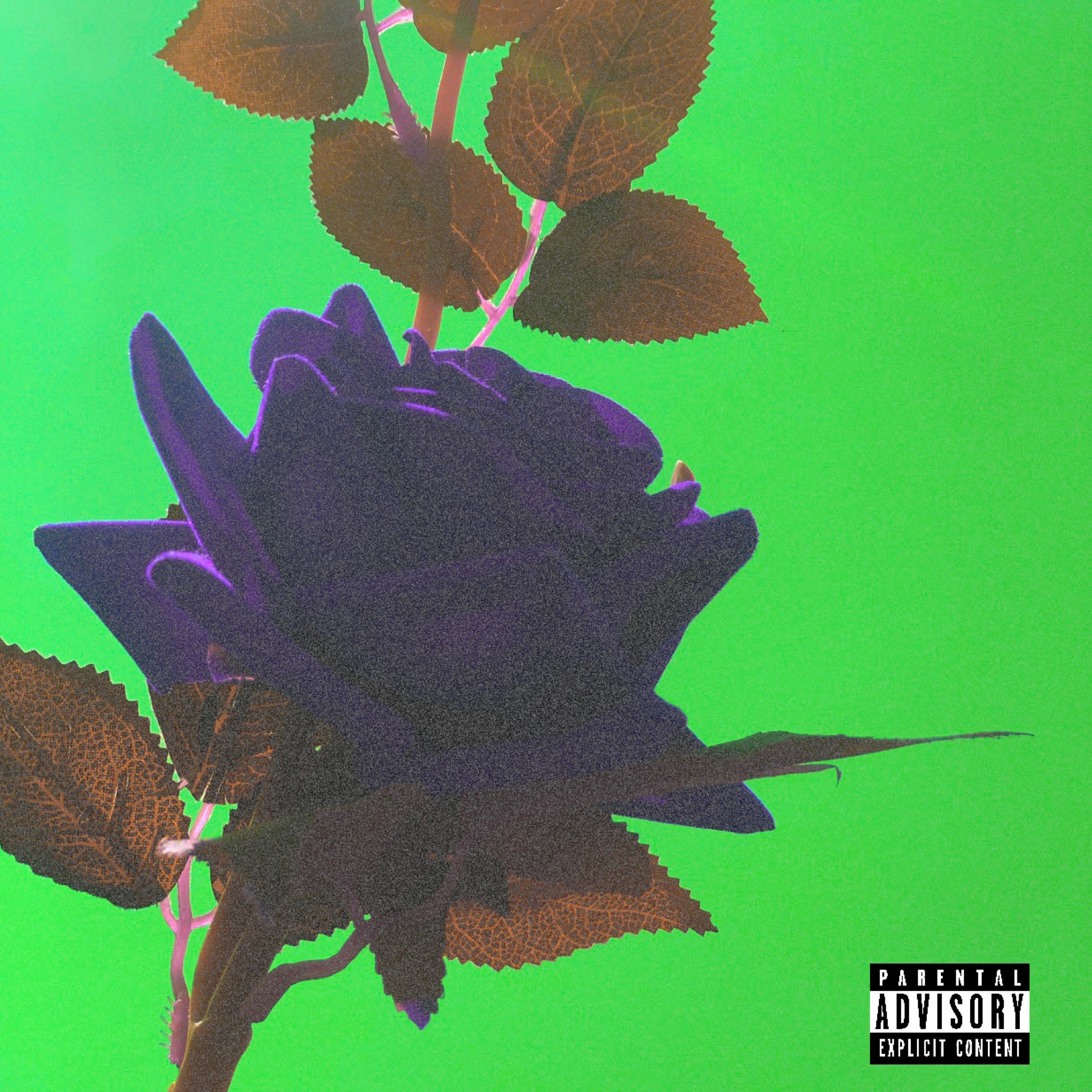 45 artwork