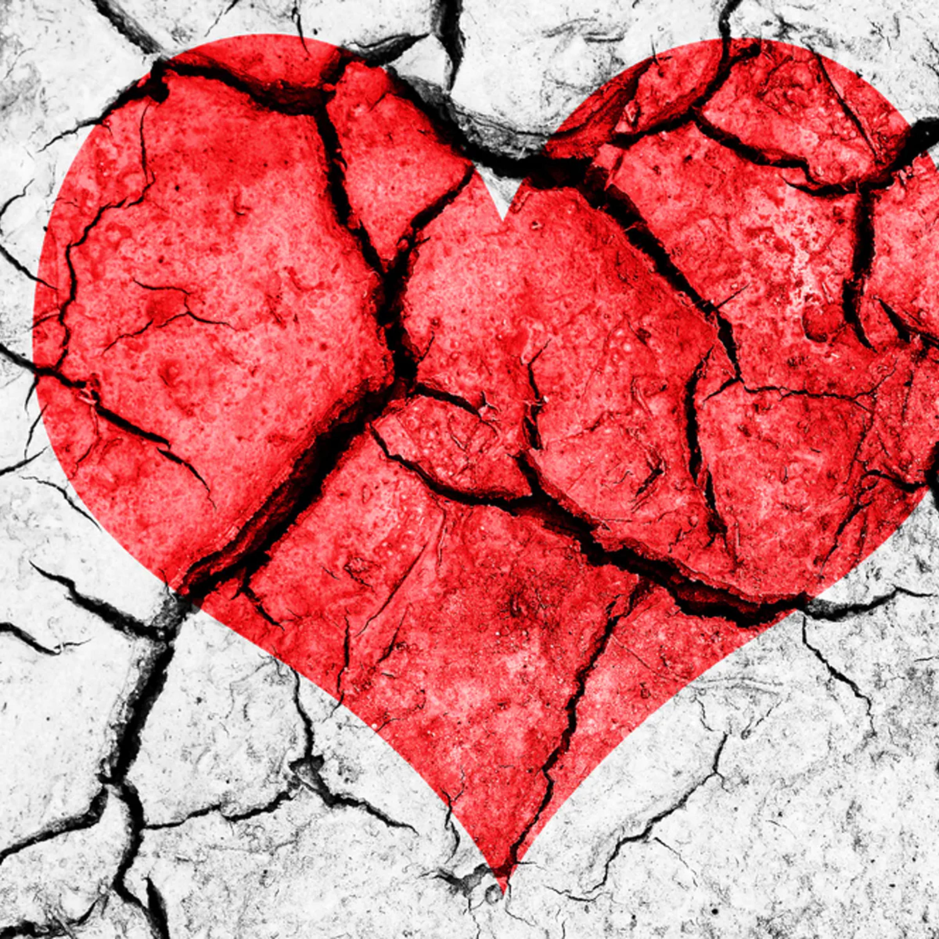 No Love 2 artwork