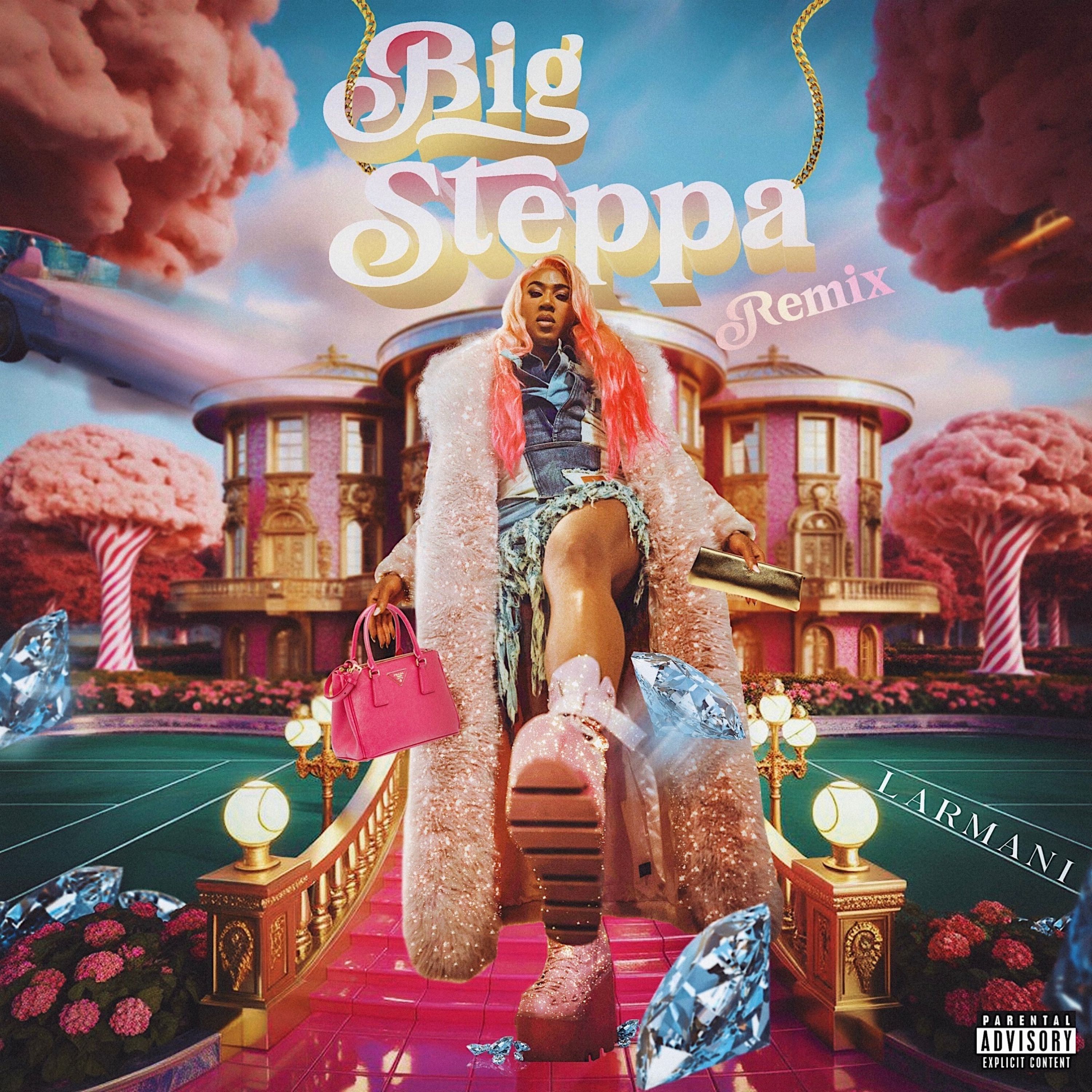 Big Steppa (Remix) artwork