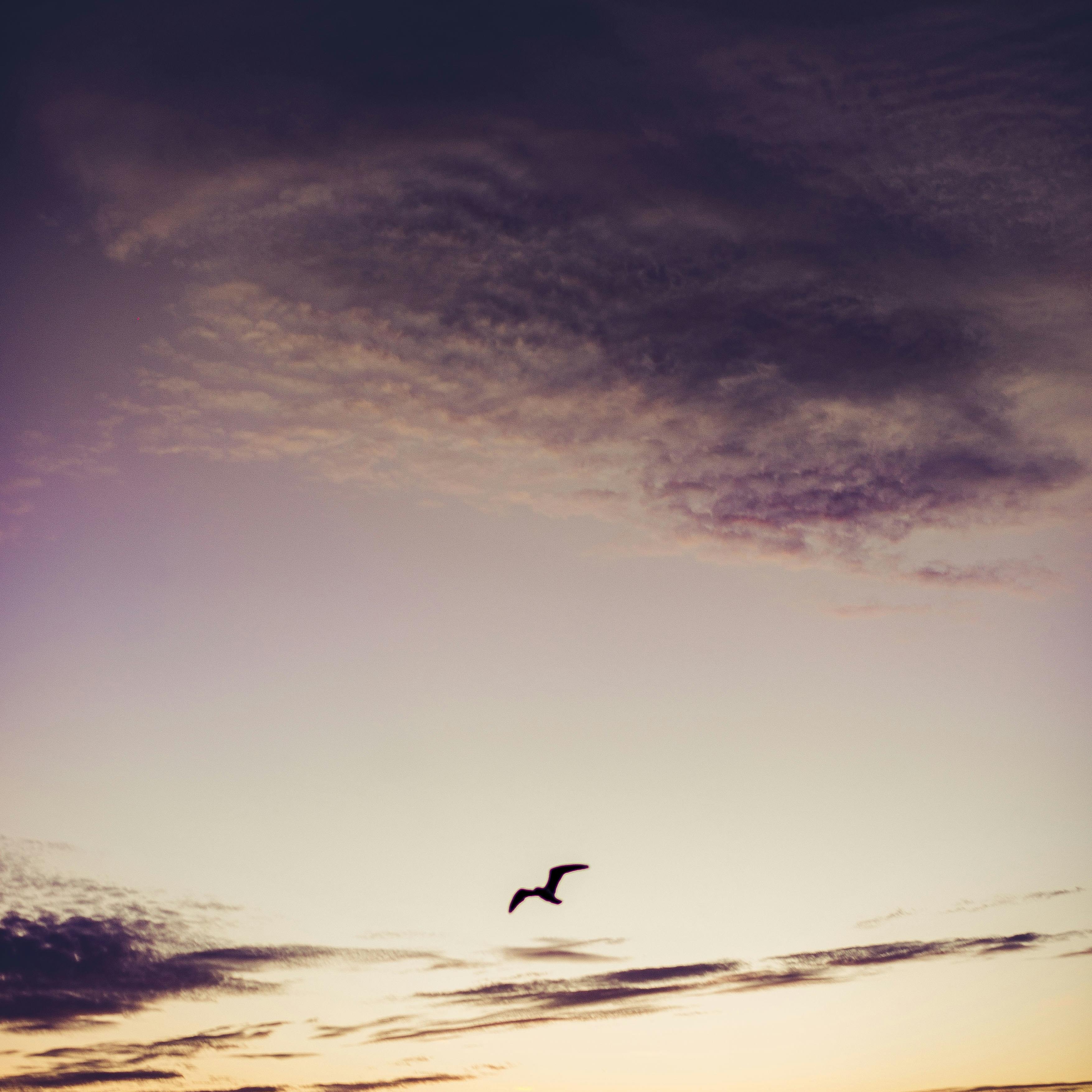 God's Covering artwork