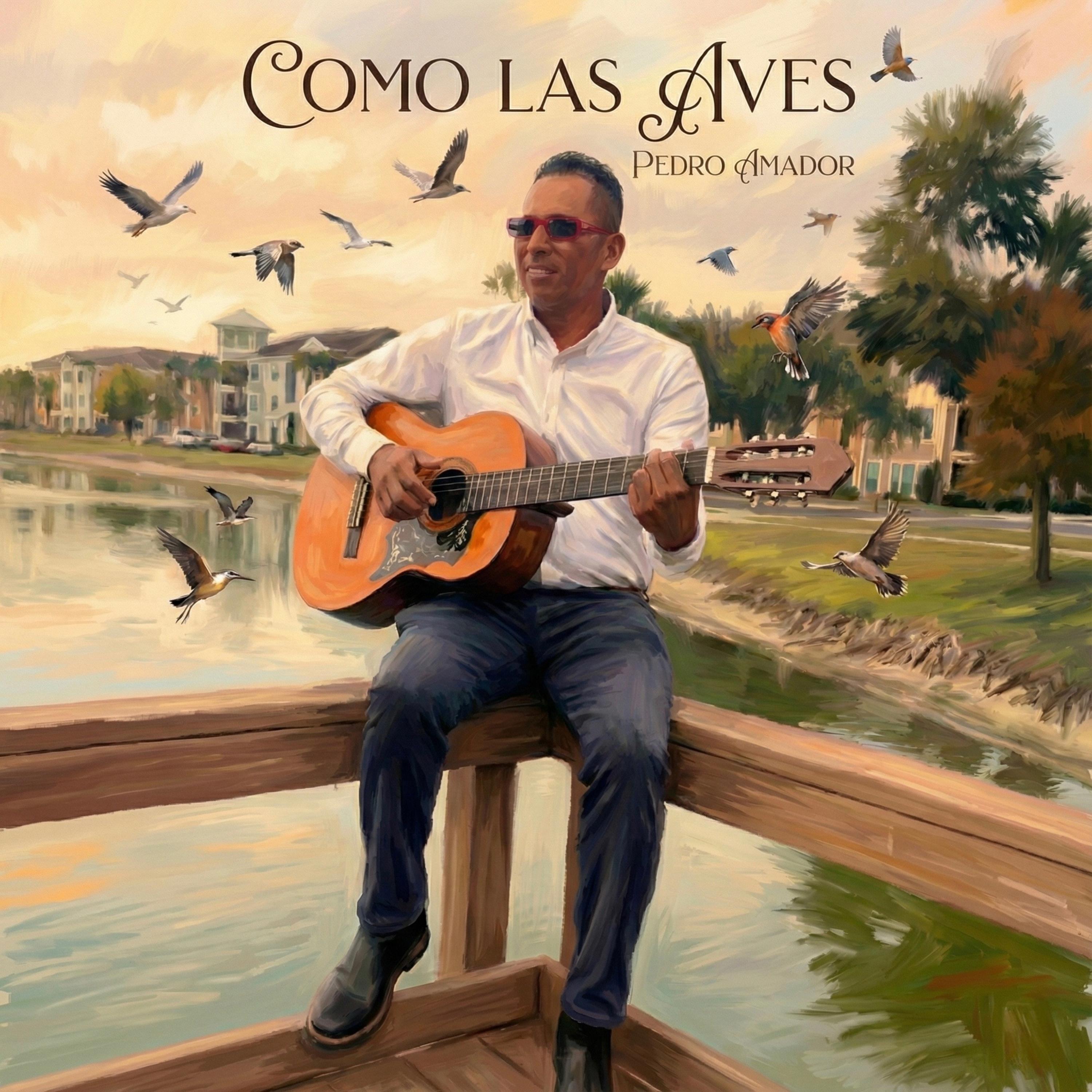 Como Las Aves artwork