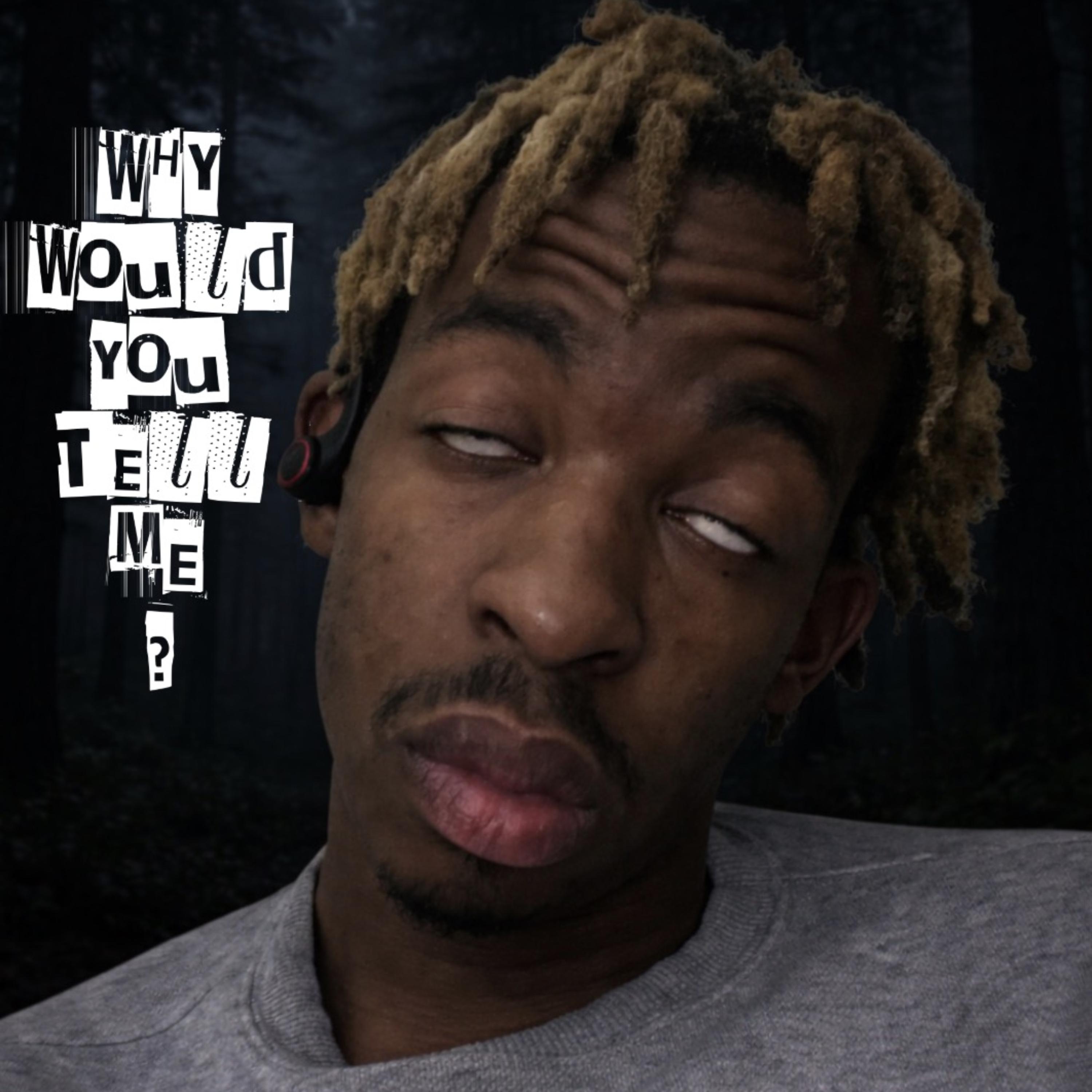 Why Would You Tell Me? artwork