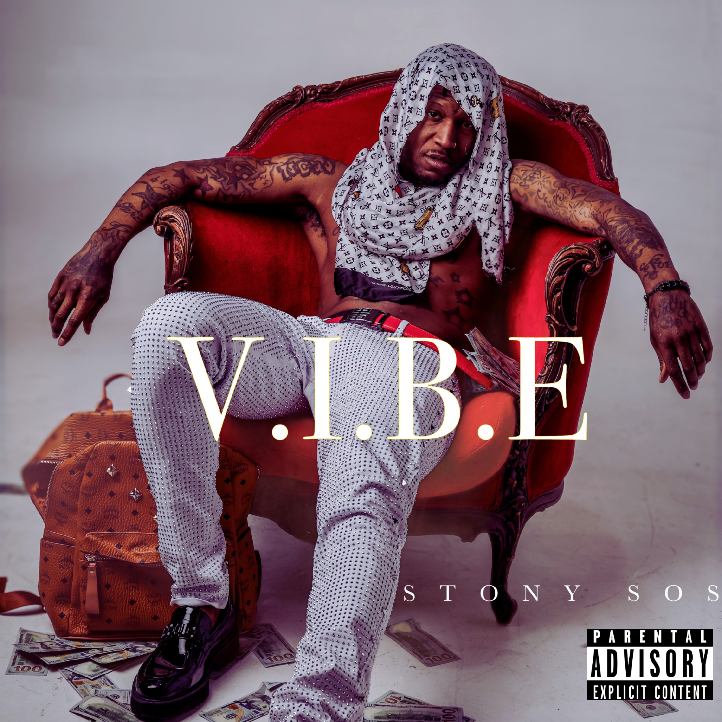 V.I.B.E artwork