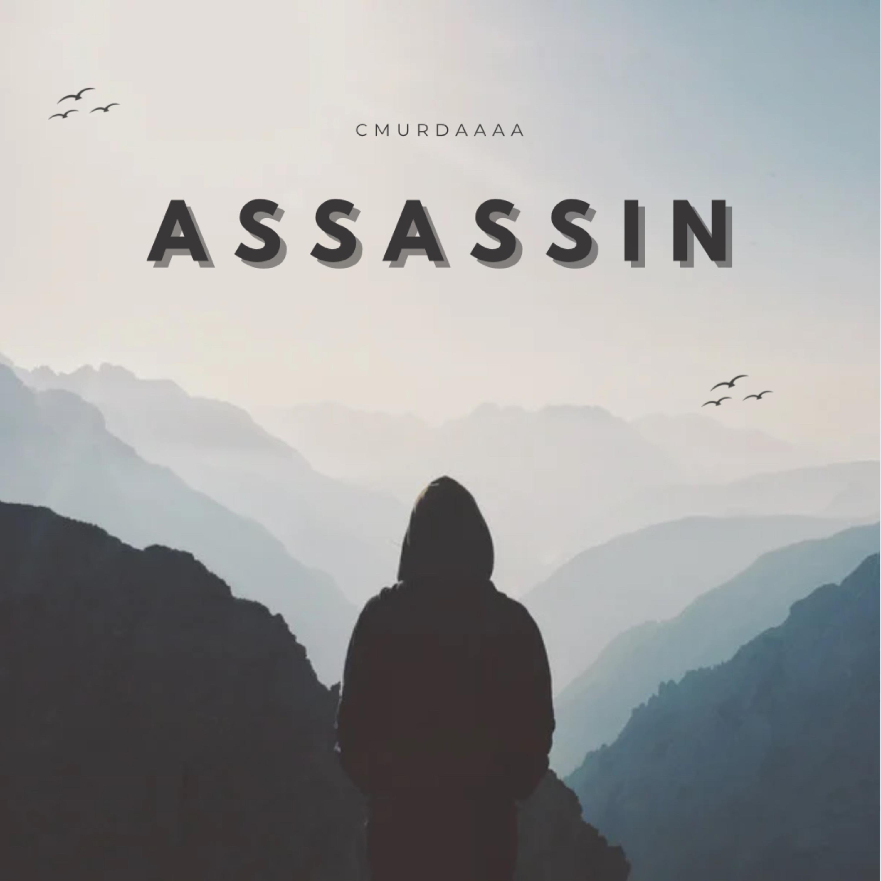 Assassin by C Murdaaaa cover art