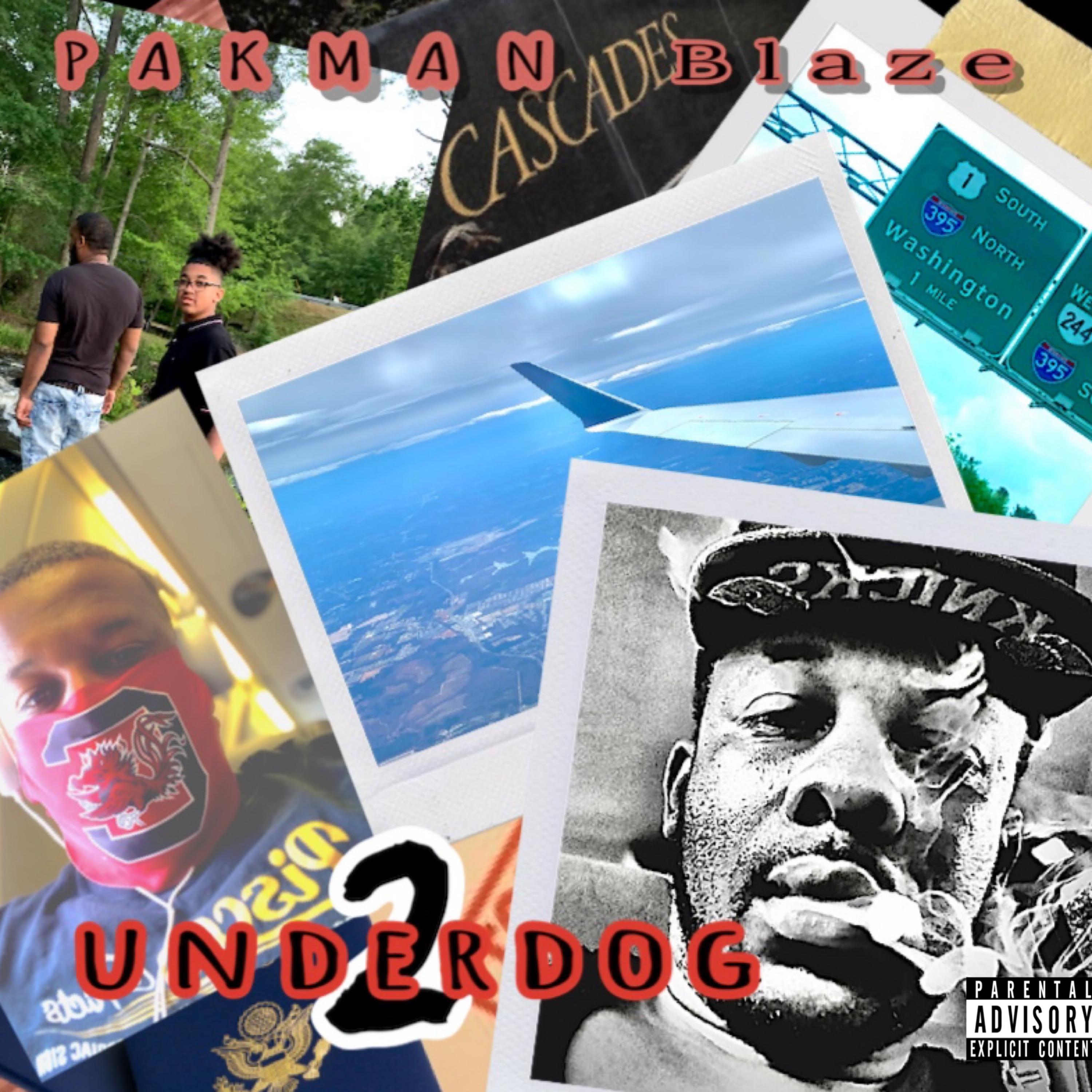 UnderDog 2 artwork