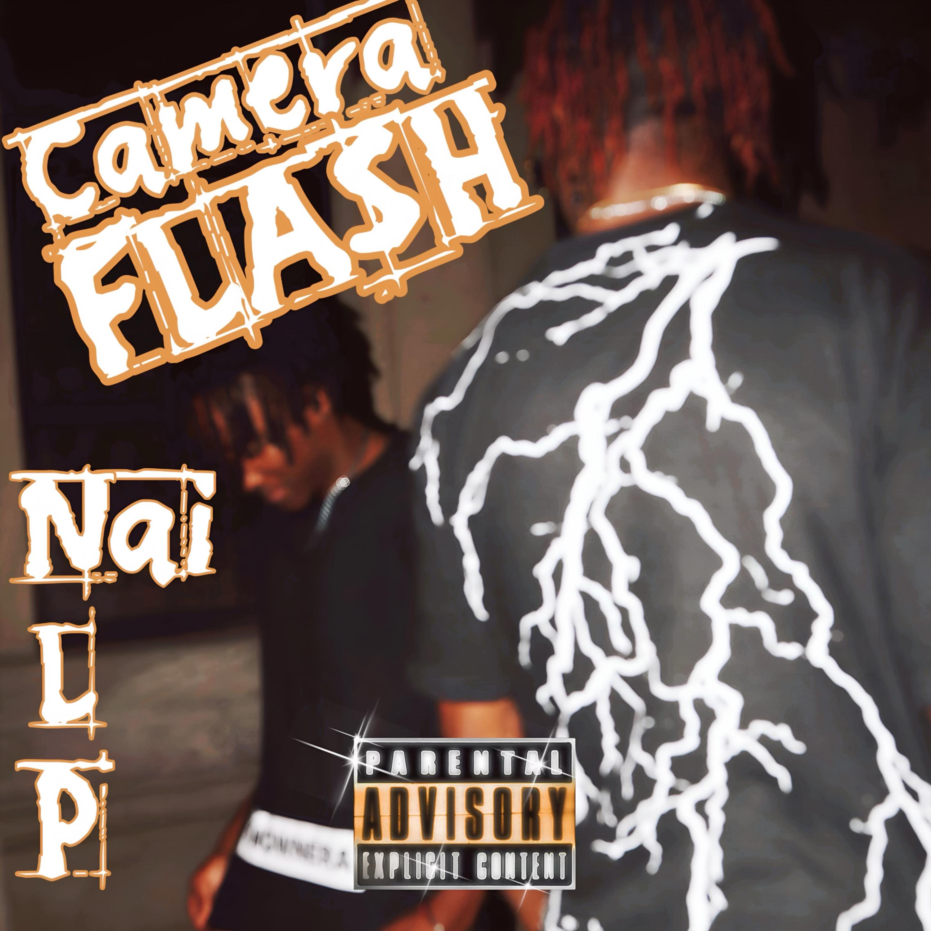 Camera Flash artwork