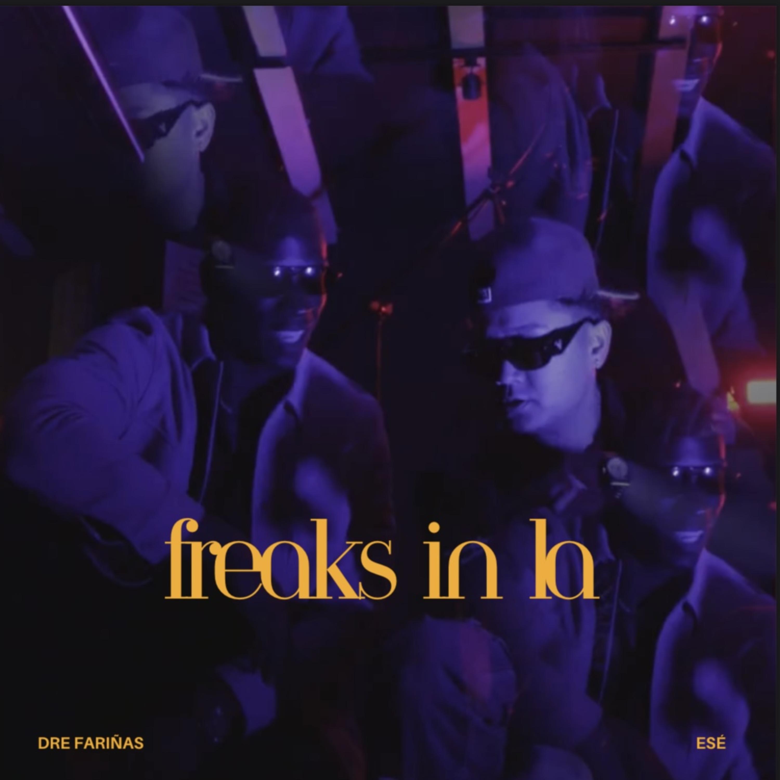 Freaks In LA artwork