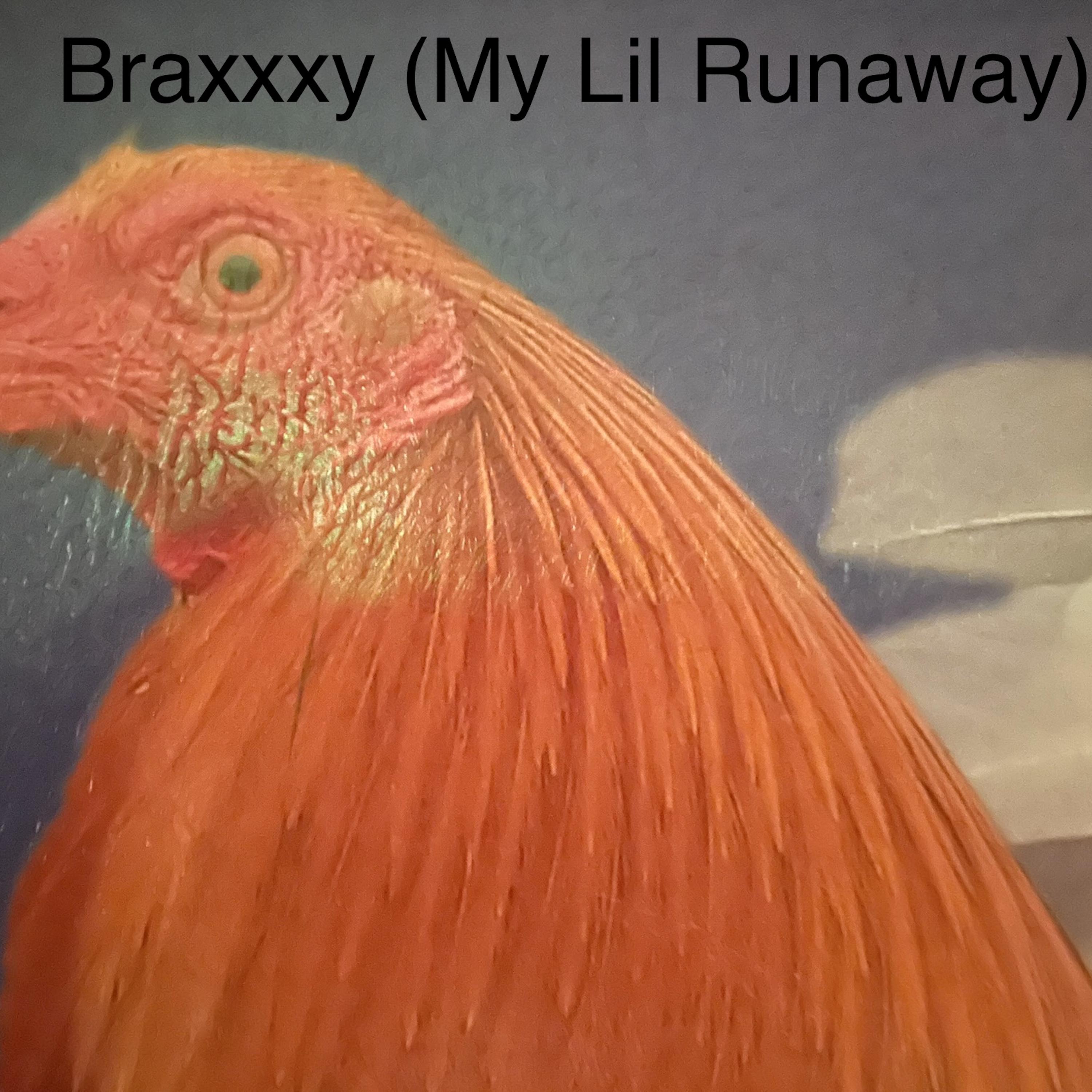 Braxxxy... My LilRunaway artwork
