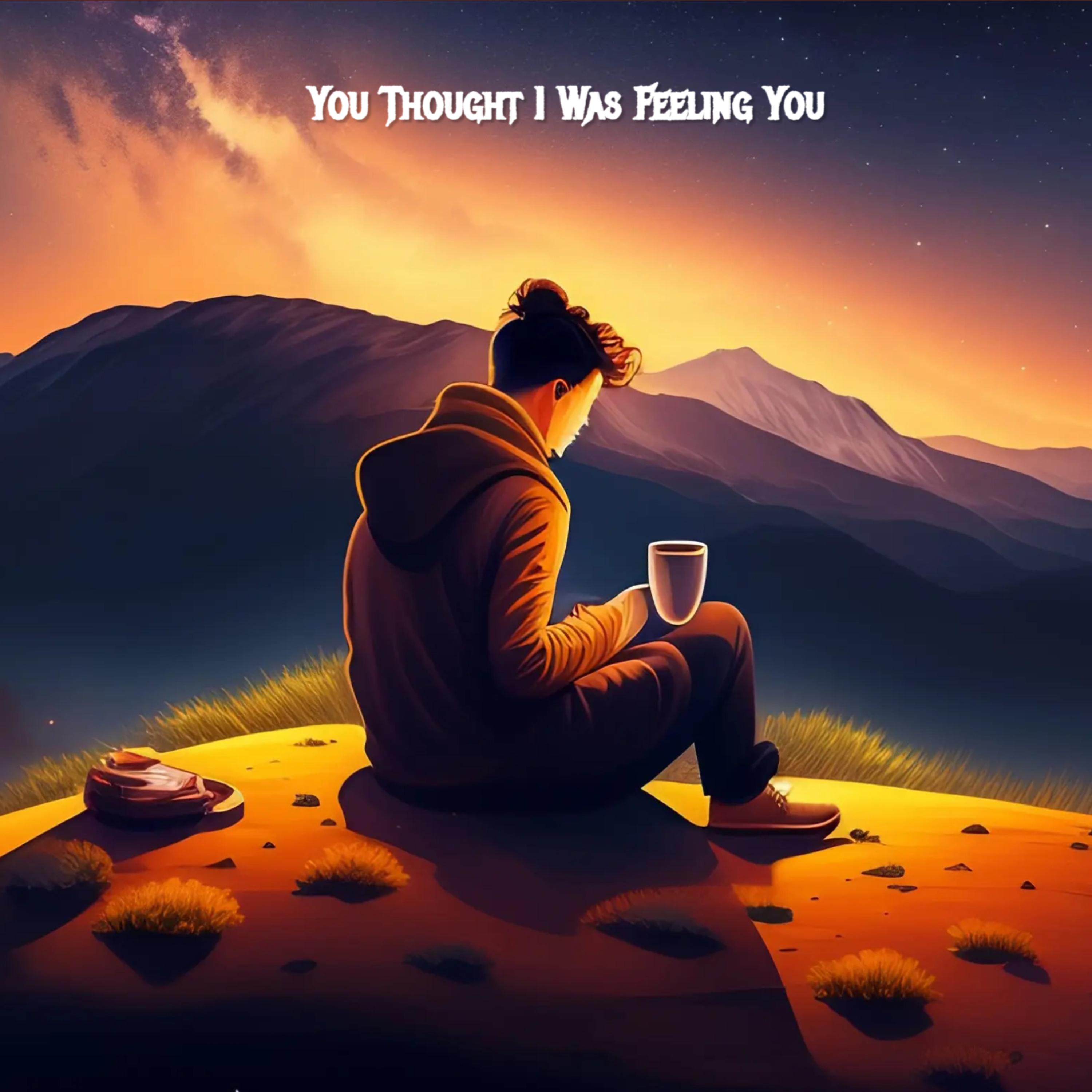 You Thought I Was Feeling You artwork