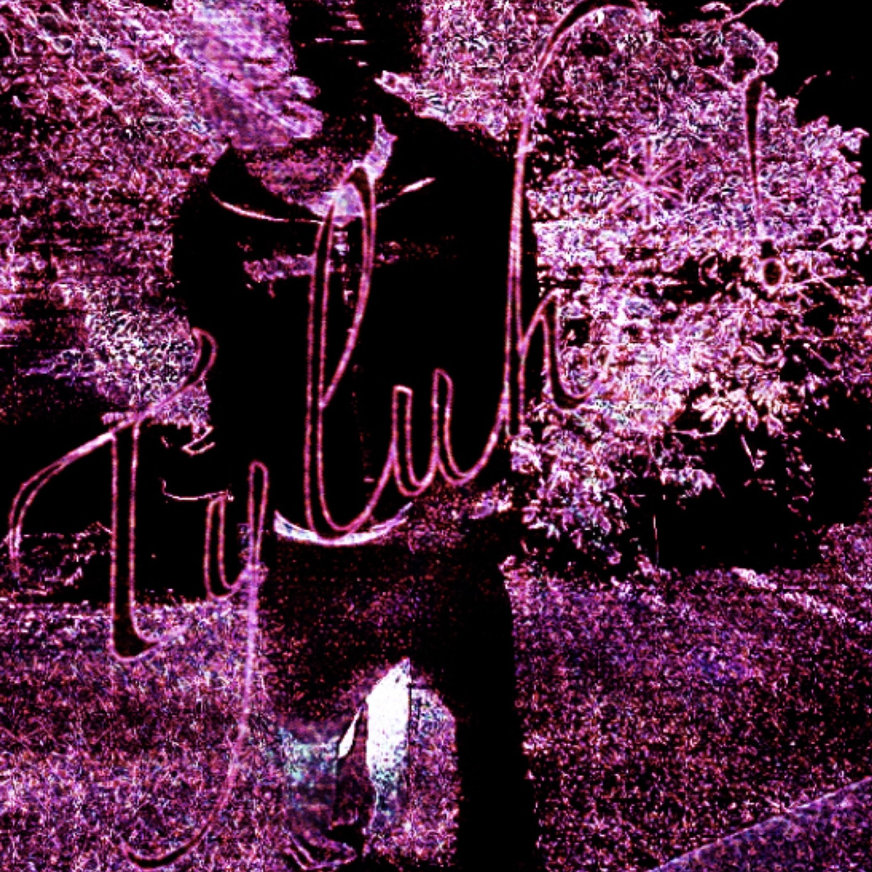 Tyluh*! artwork