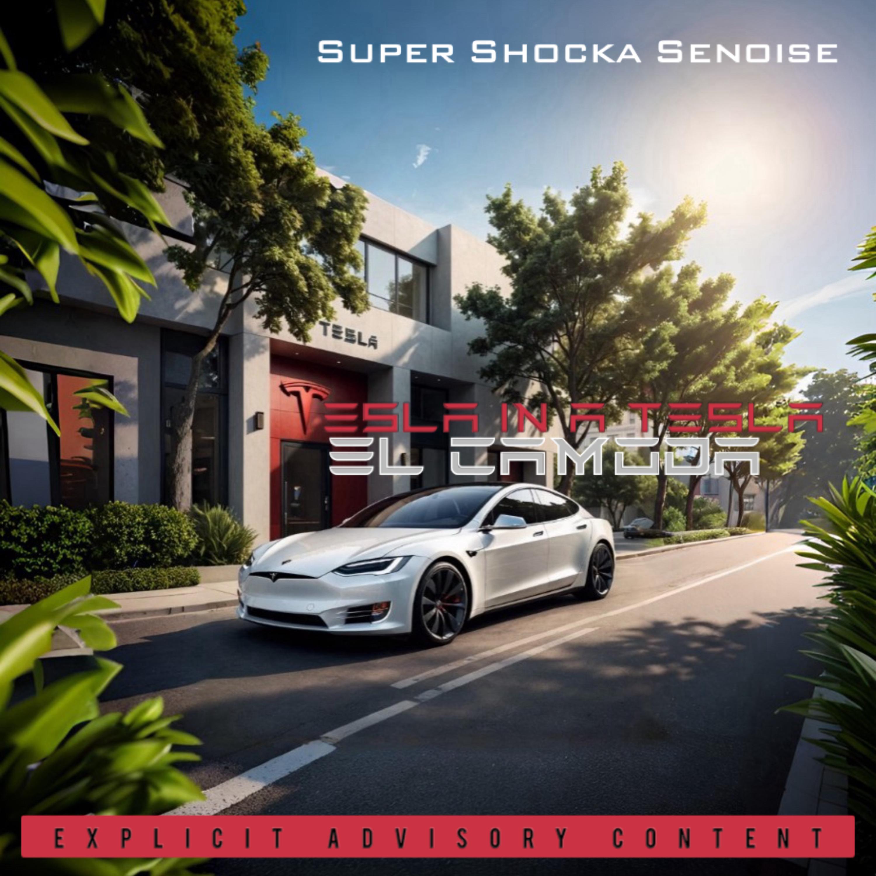 Tesla In A Tesla : El Camoda artwork