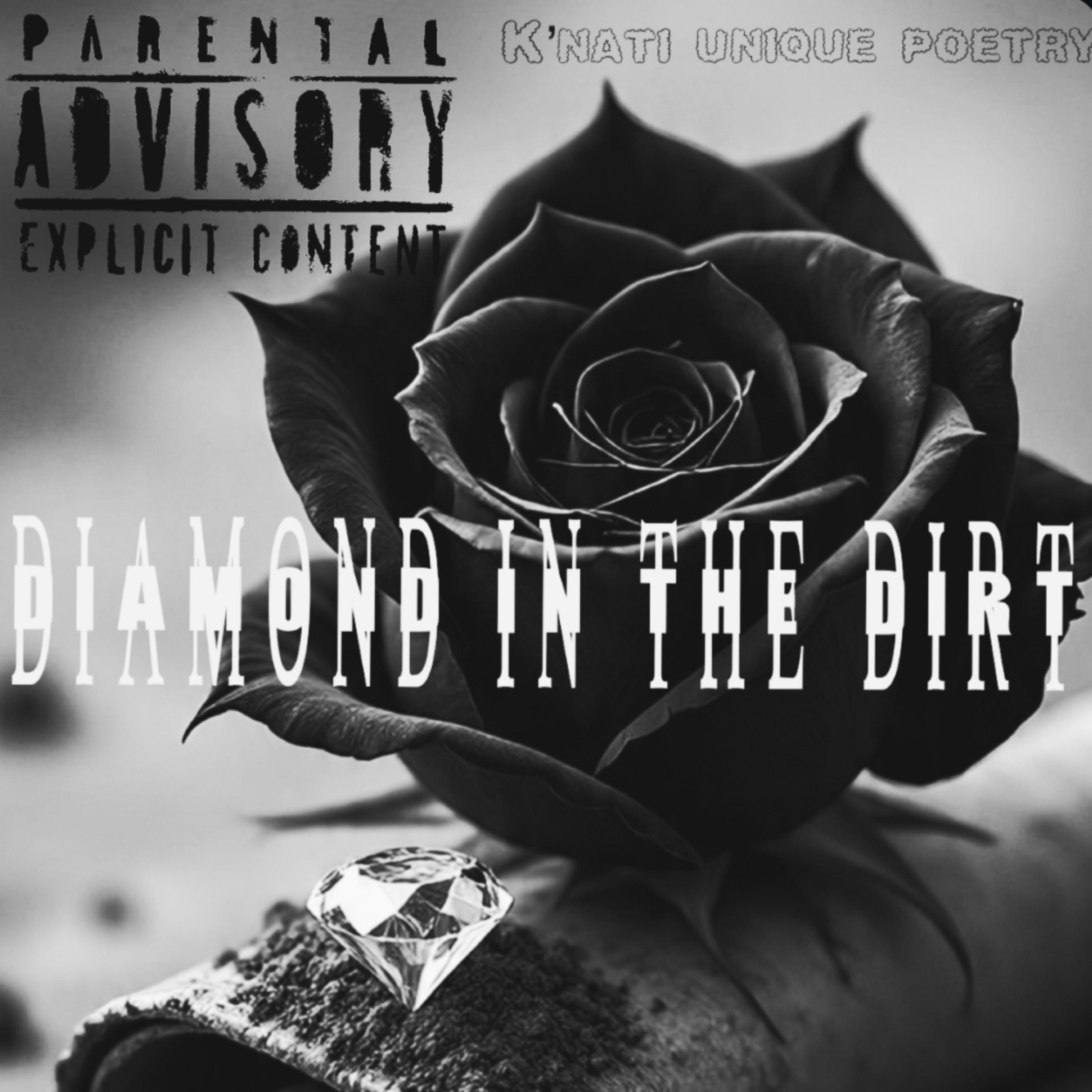 Diamond In The Dirt artwork