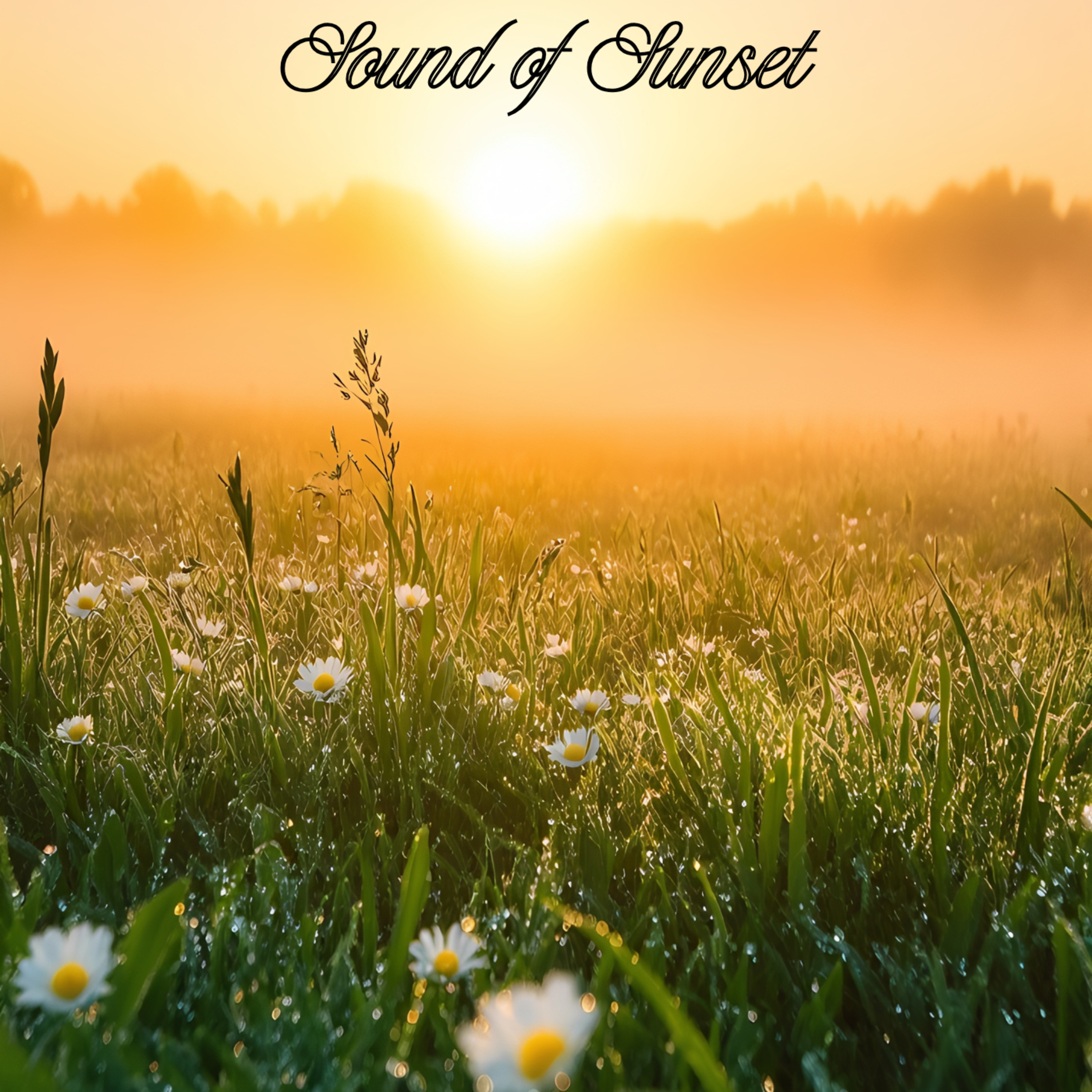 Sound of Sunset artwork