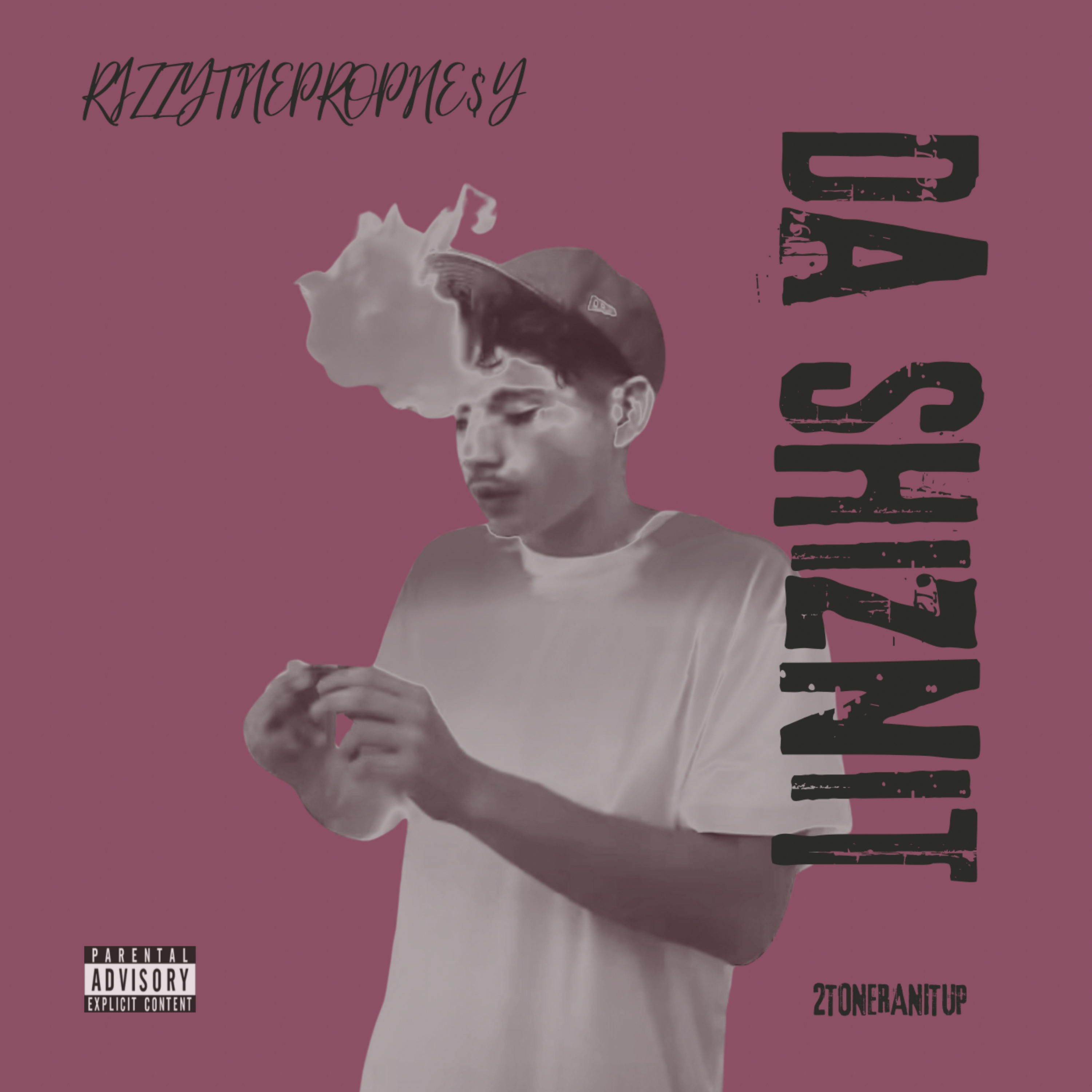 Da Shiznit artwork